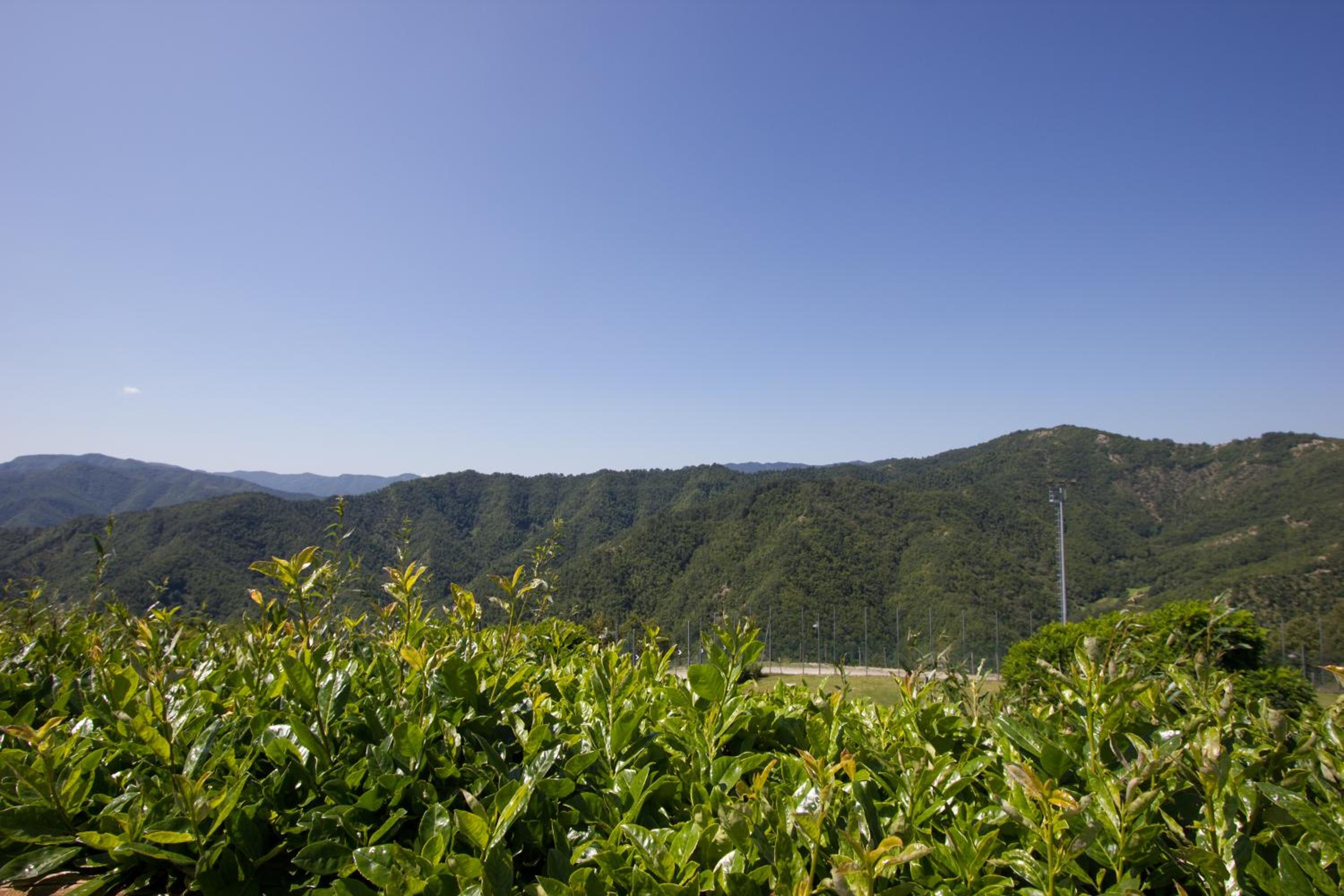I Cancelli -Mugello Park Family Village