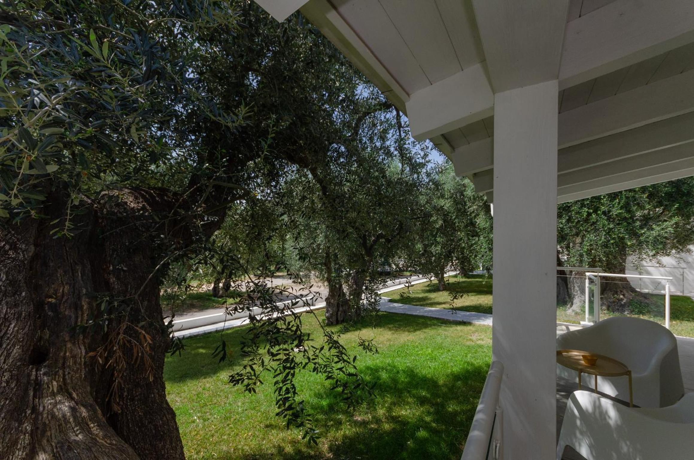 Agriturismo Giorgio