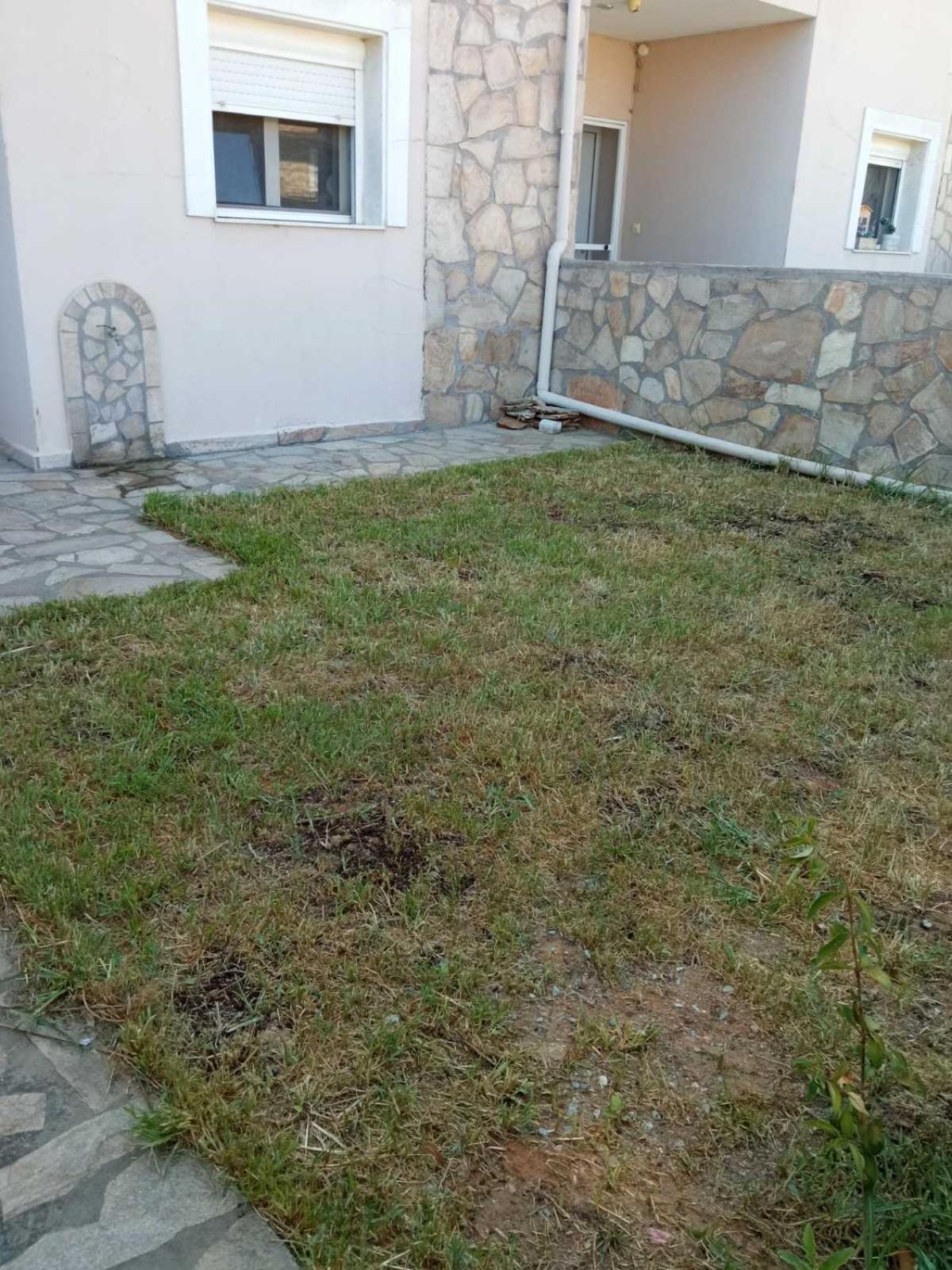 House Christodoulos