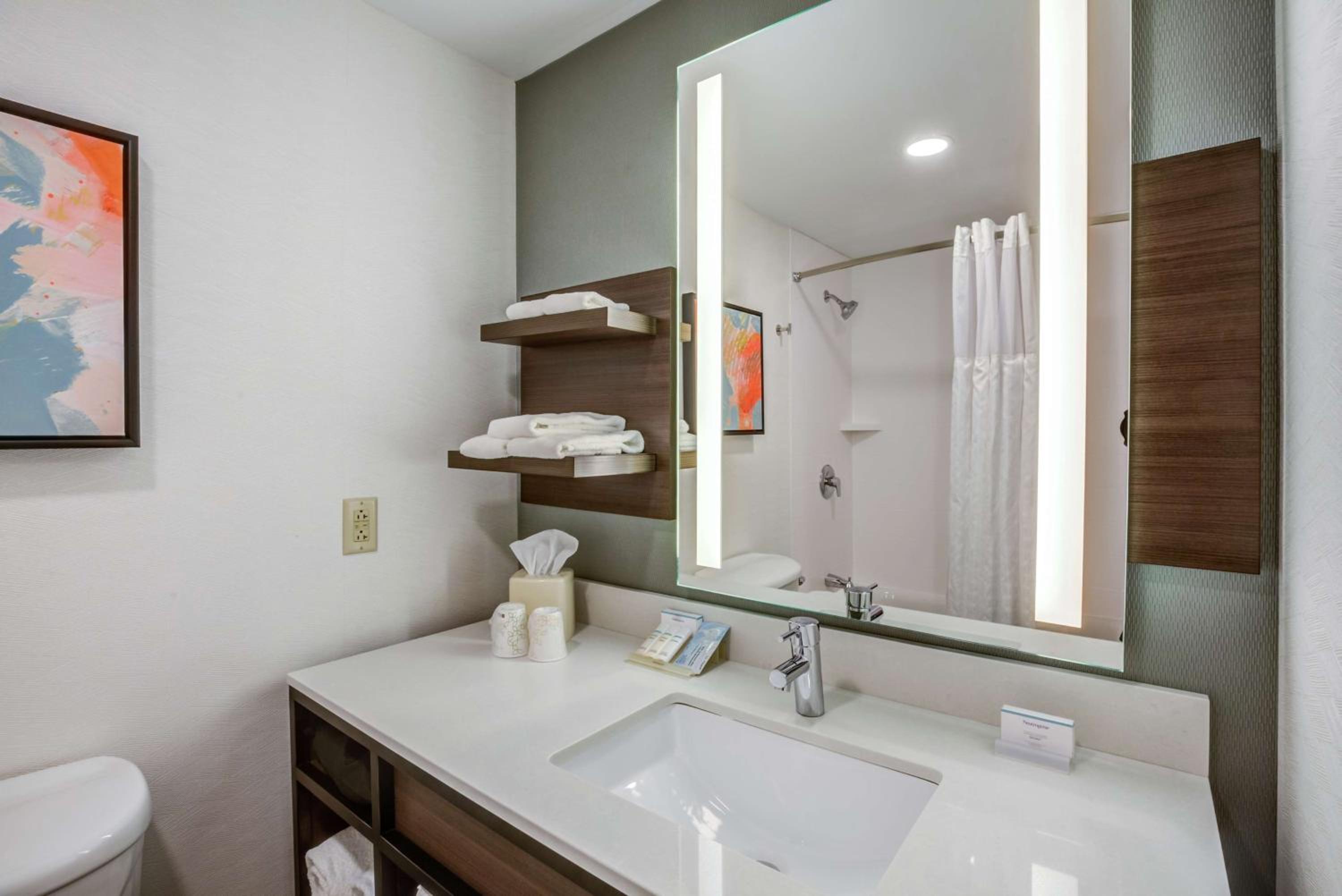 Hilton Garden Inn Boston Waltham - Property Image 3
