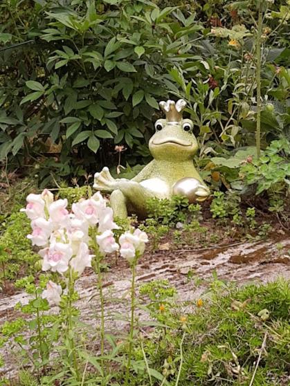 Photo 39