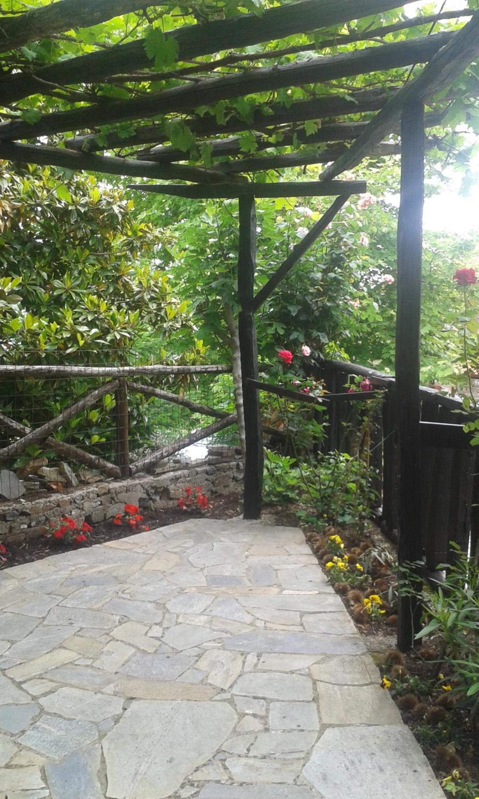 Photo 23