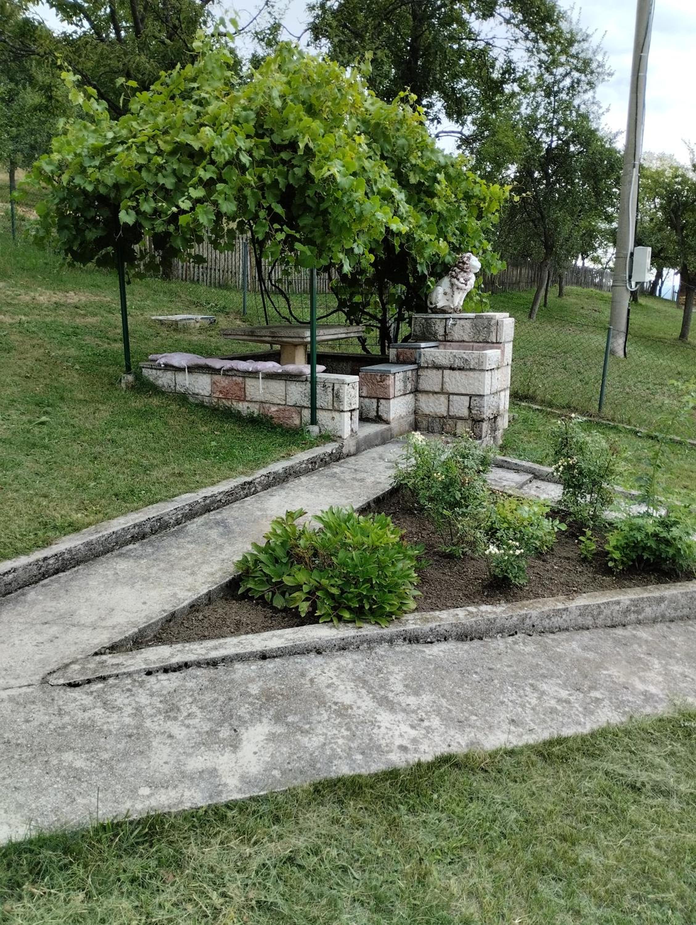 Photo 22