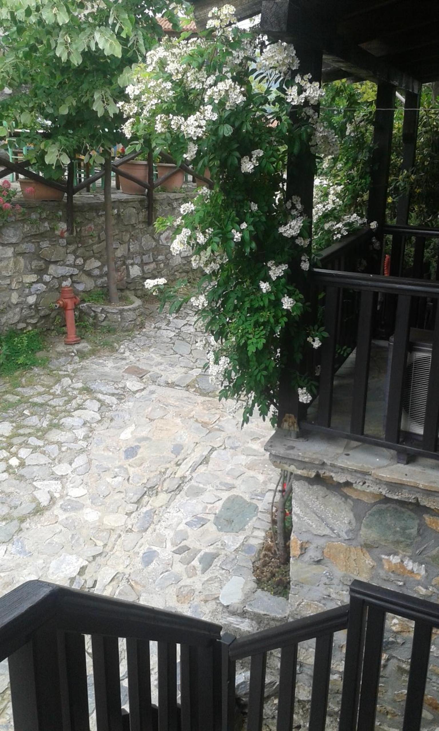 Photo 24