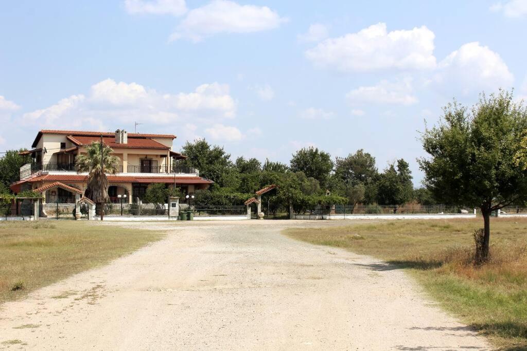 Photo 8