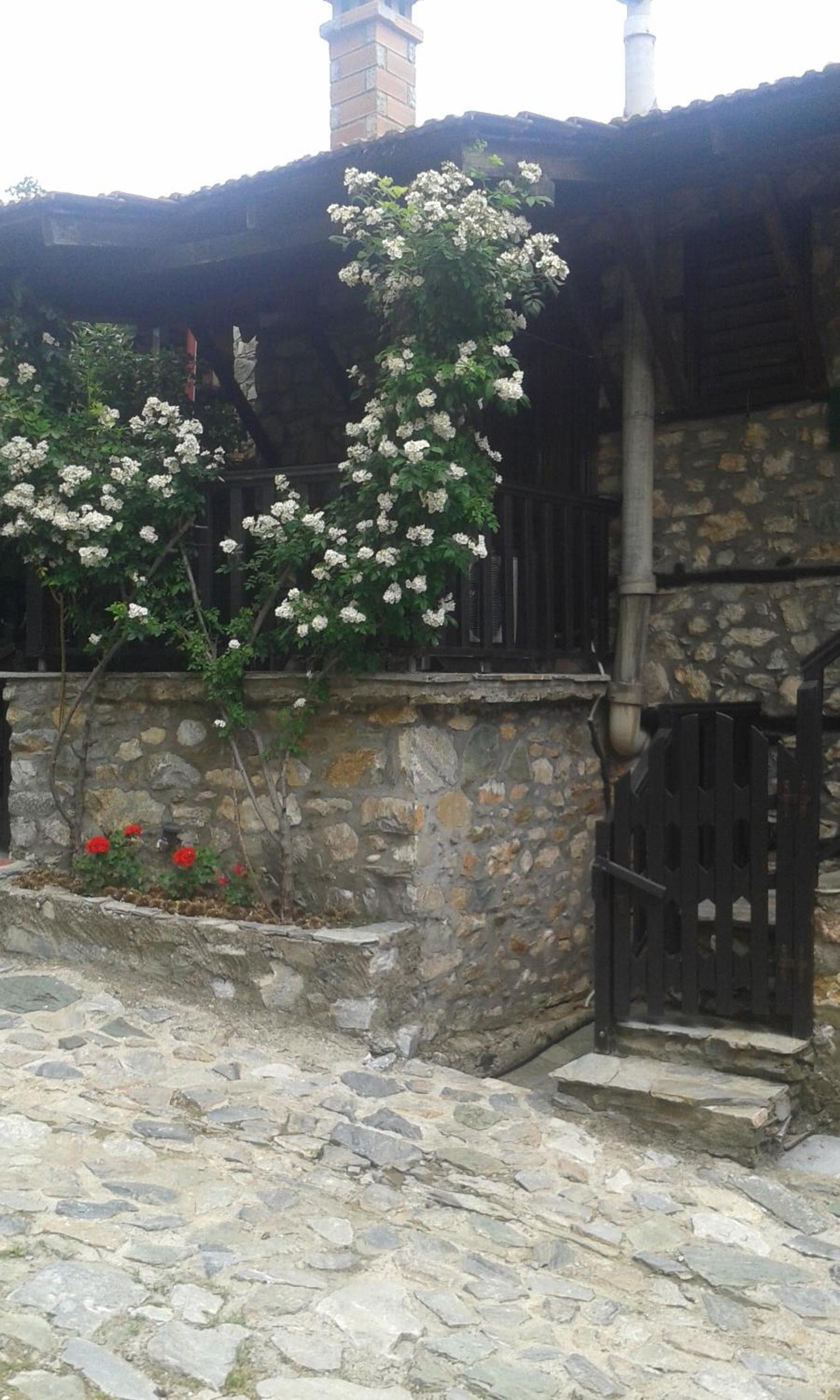 Photo 46