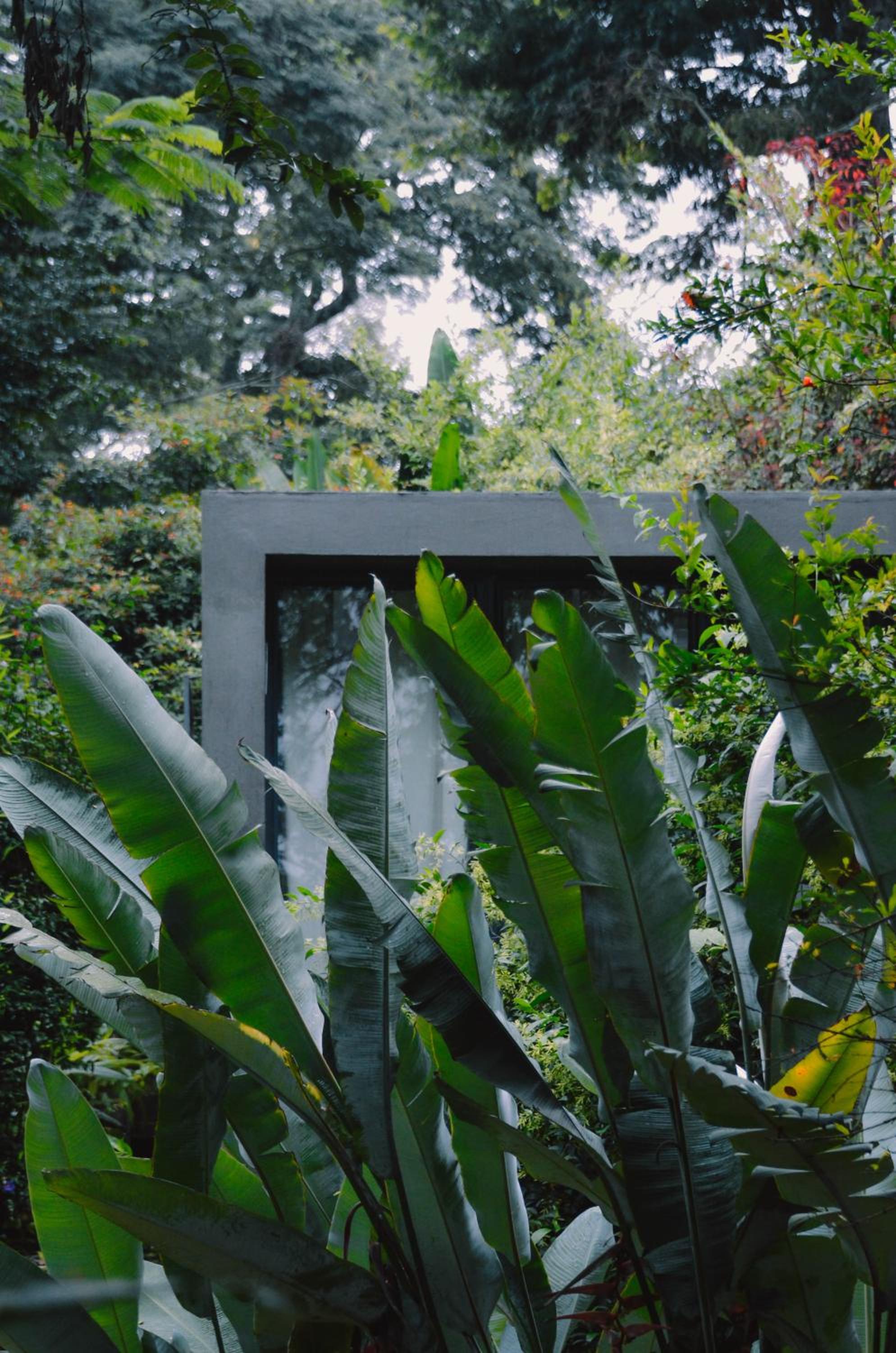 Kaliwa Lodge