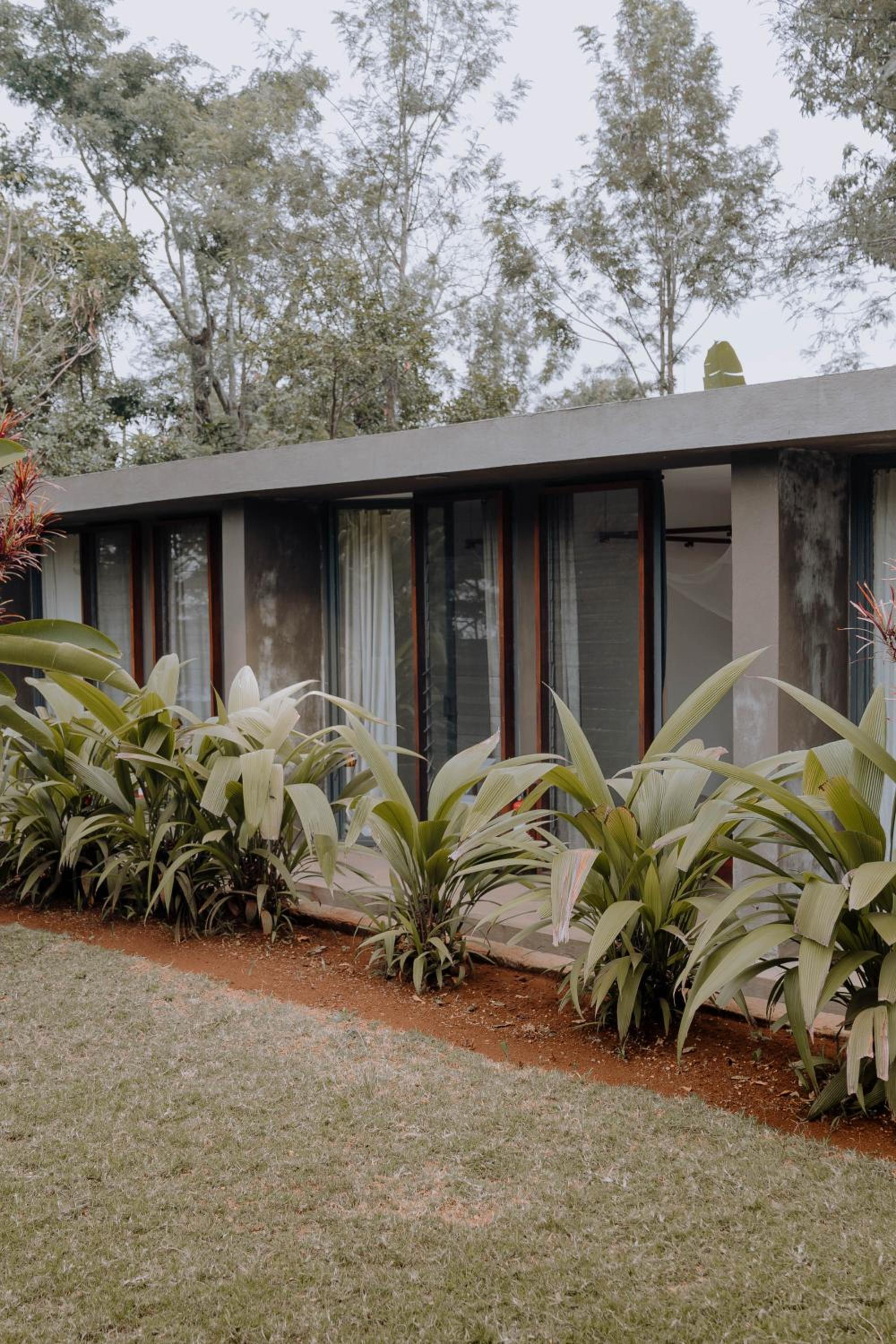 Kaliwa Lodge