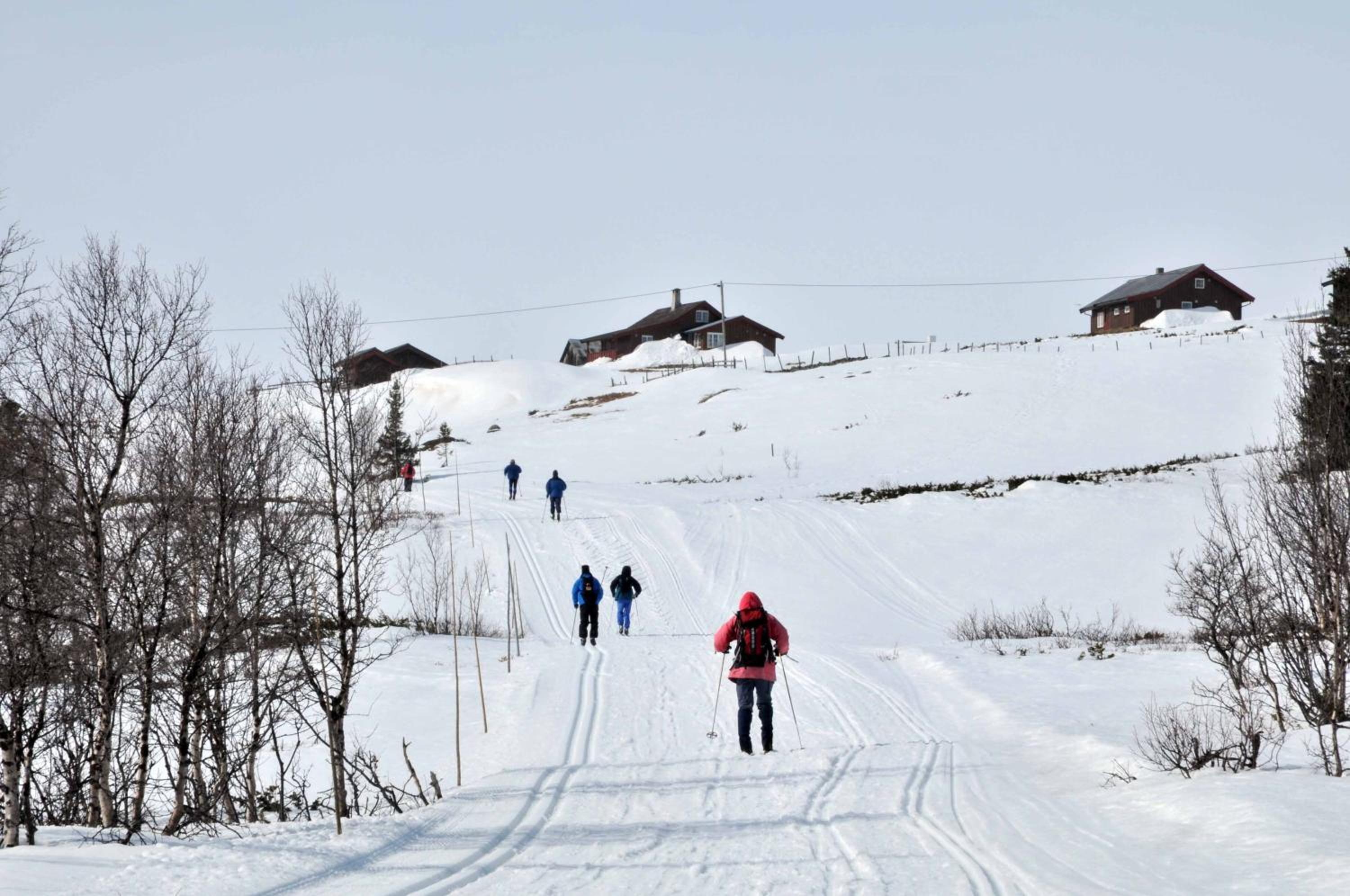 Havsdalsgrenda Geilo Apartments