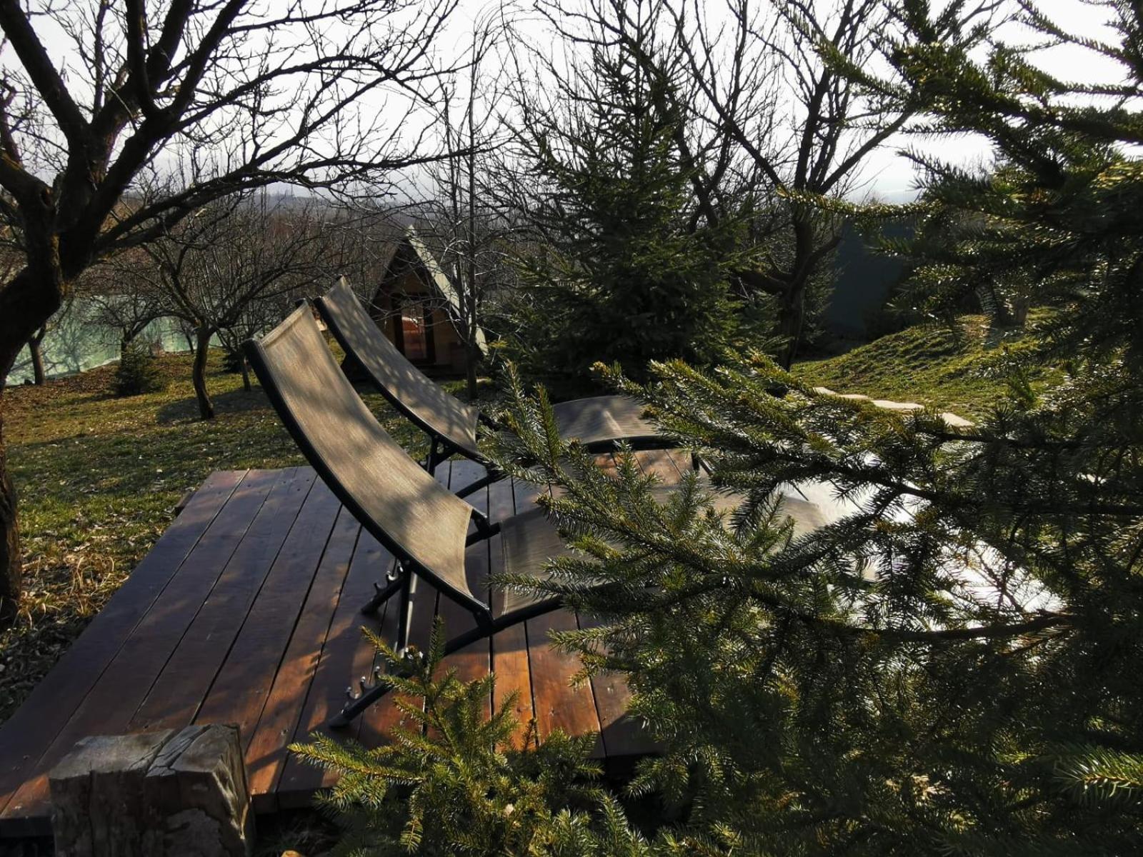 Zen Garden view 4