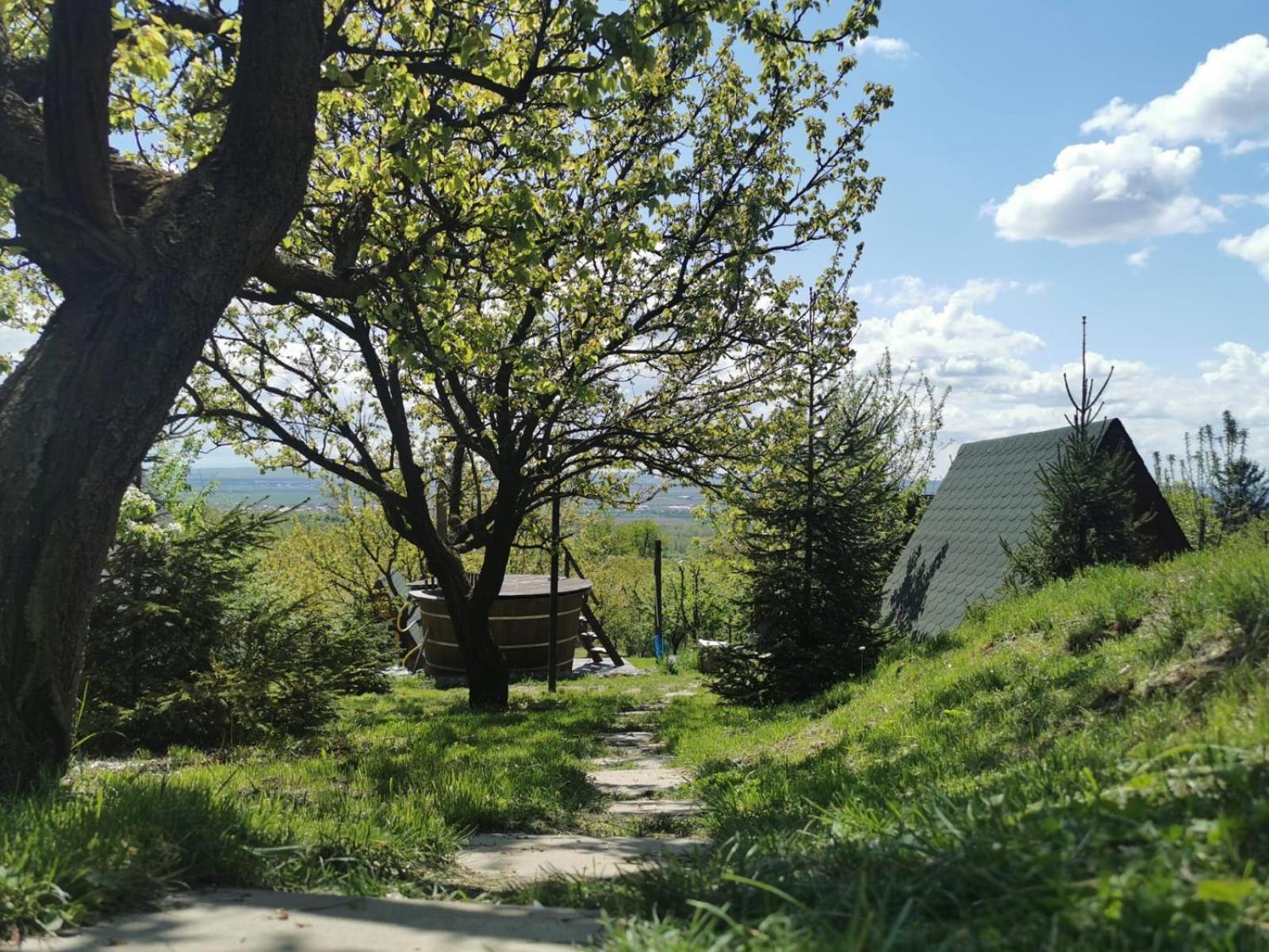 Zen Garden view 5