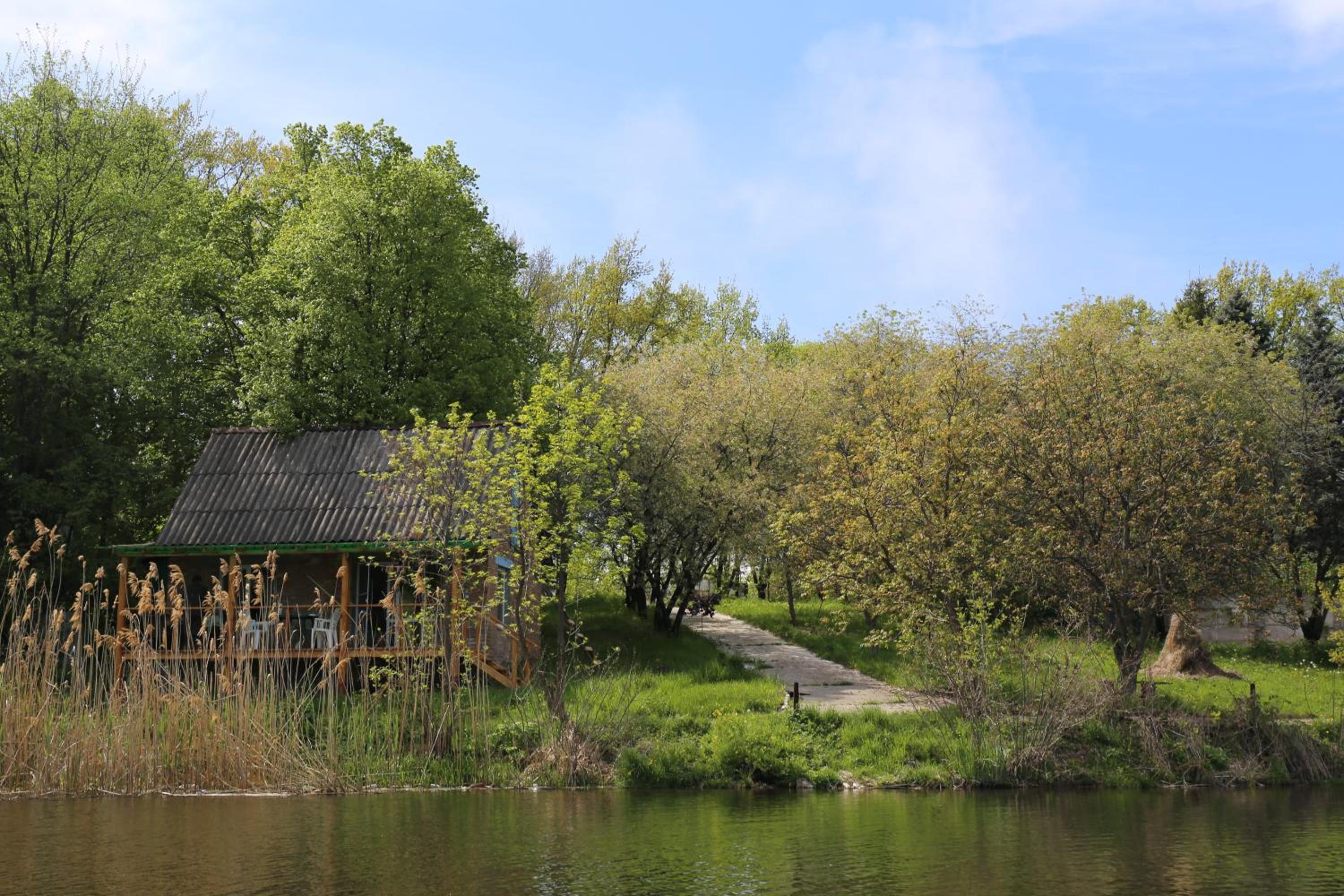 Photo 40