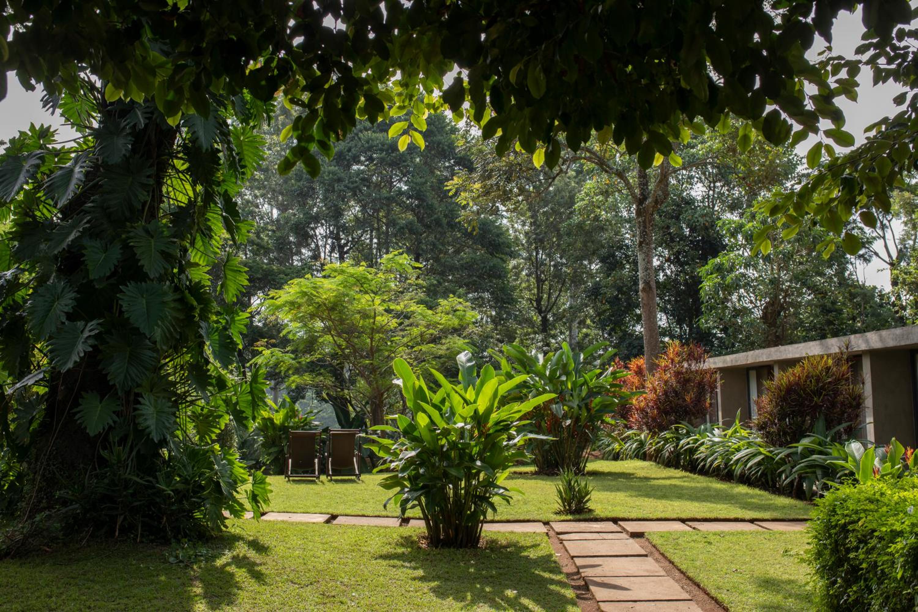 Kaliwa Lodge