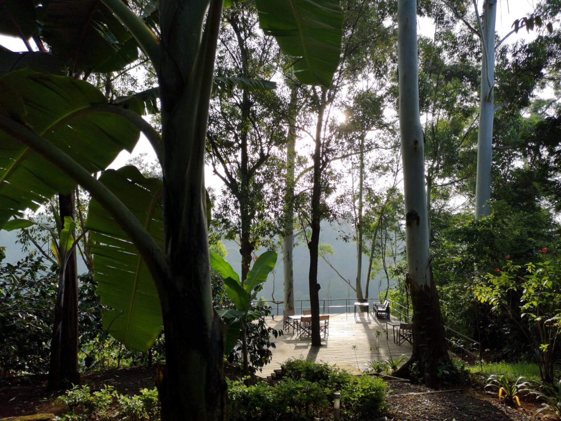 Kaliwa Lodge