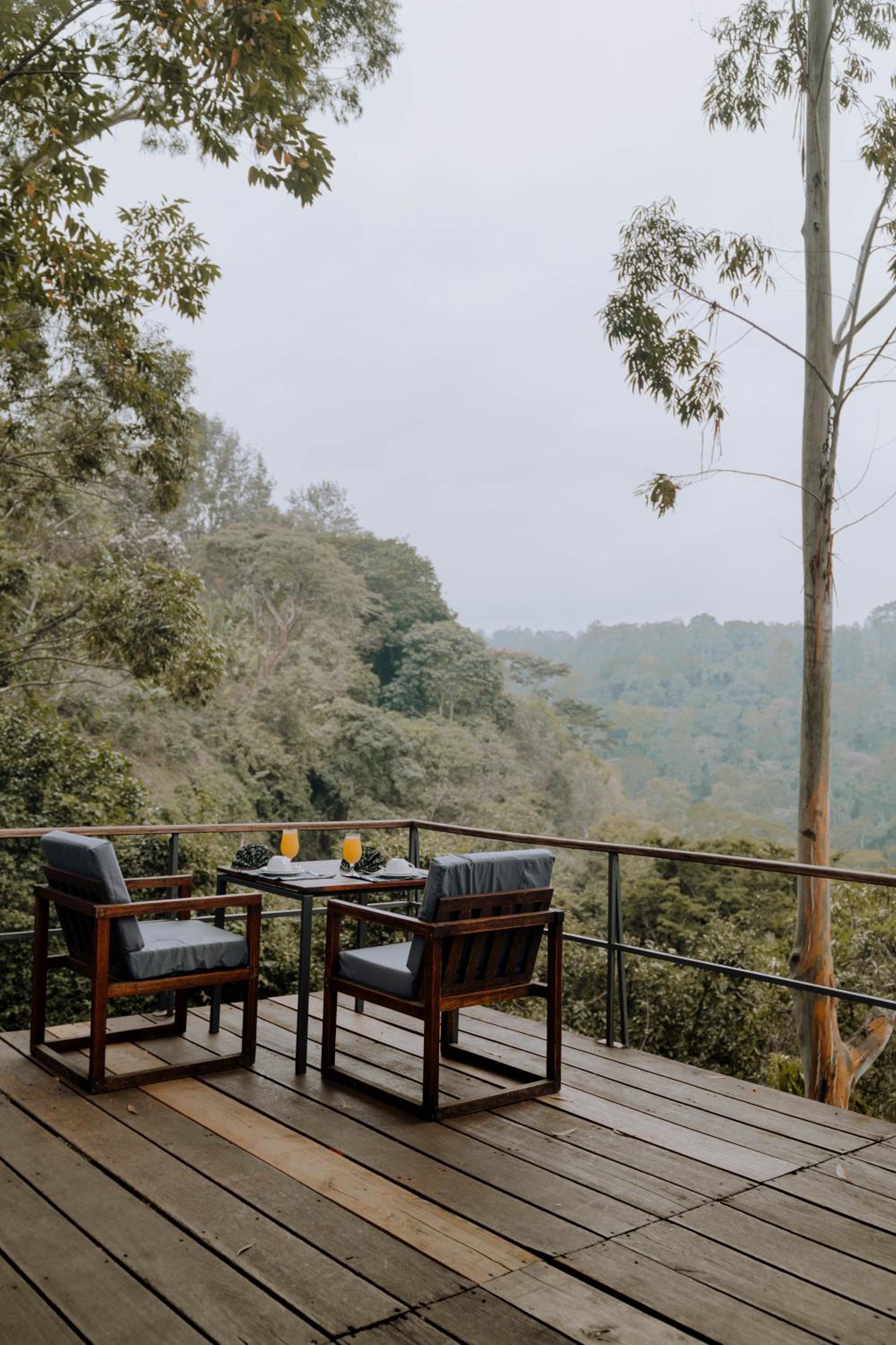 Kaliwa Lodge