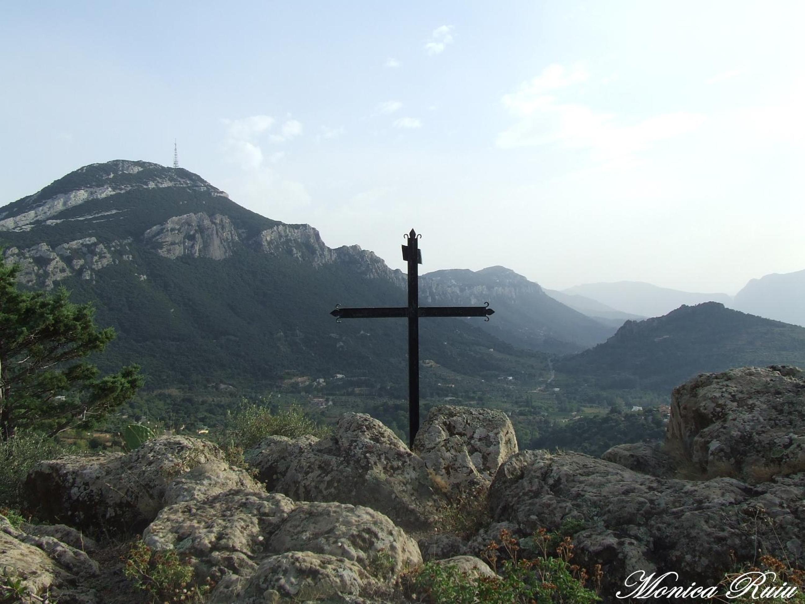 Photo 88