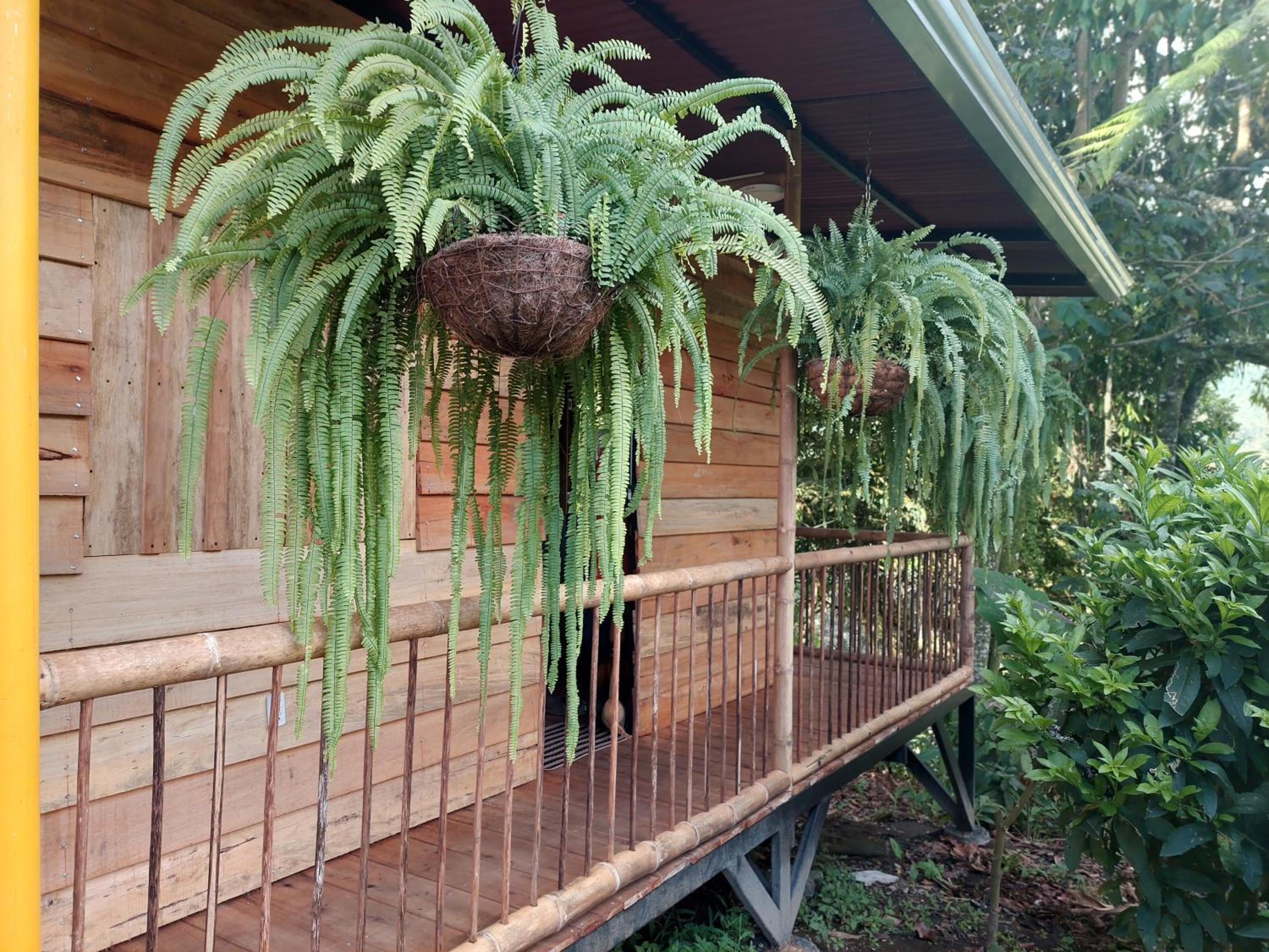 EcoaldeaHotel Aguaviva2