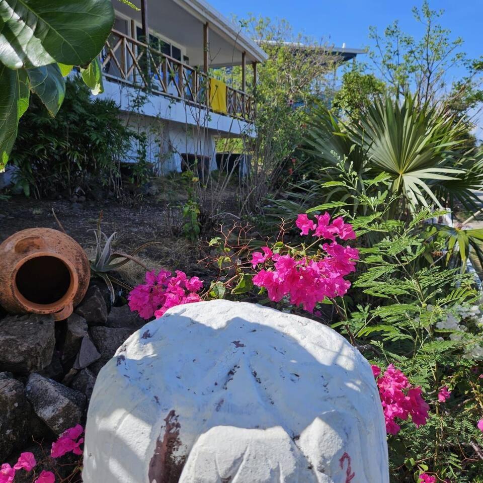 Casa Macchi