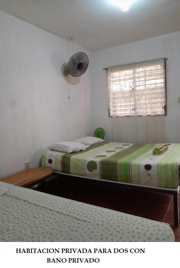 Hostel Tadeo San Juan del Sur, photo 13