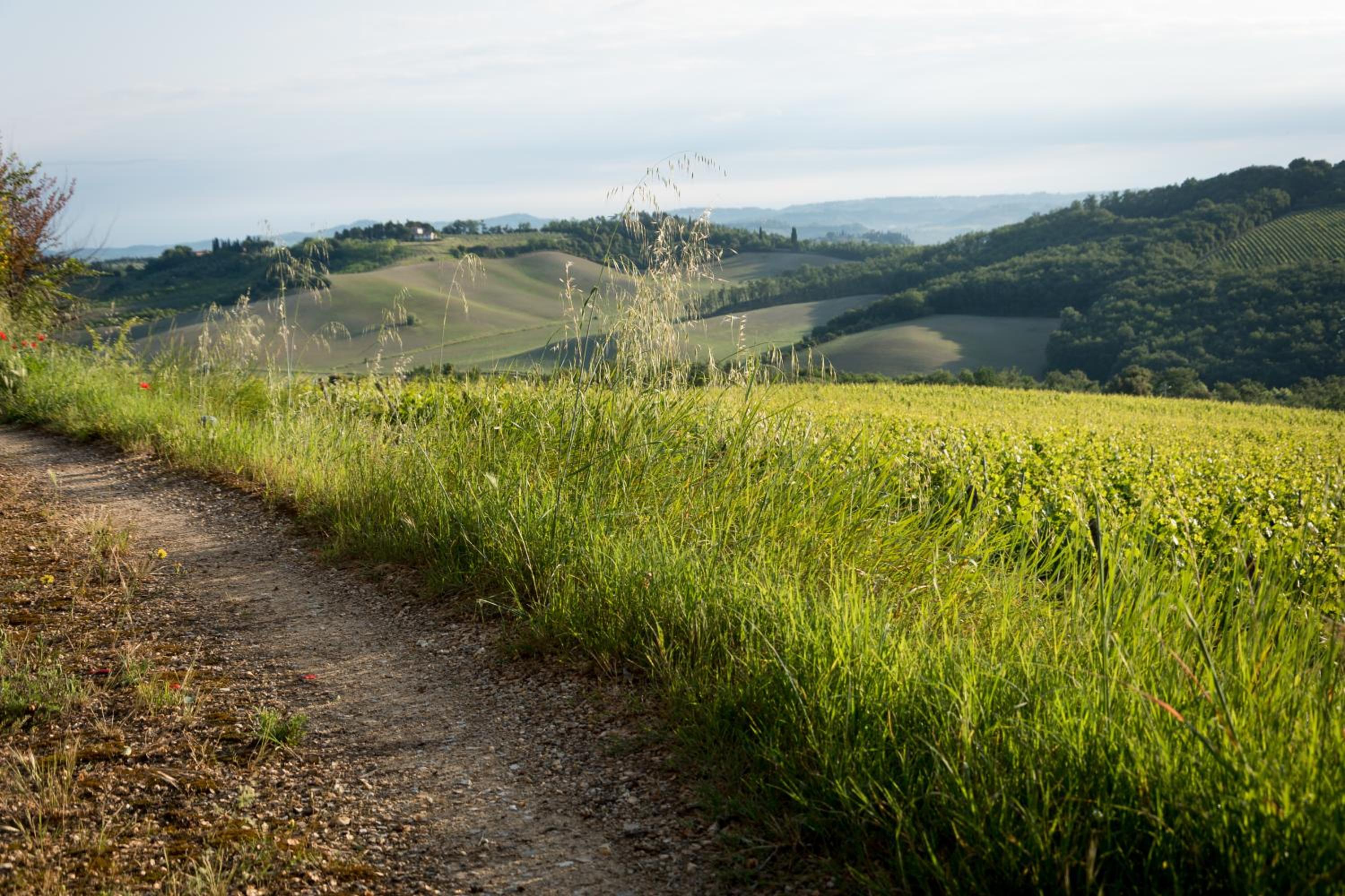 Il Borghetto Tuscan Holidays