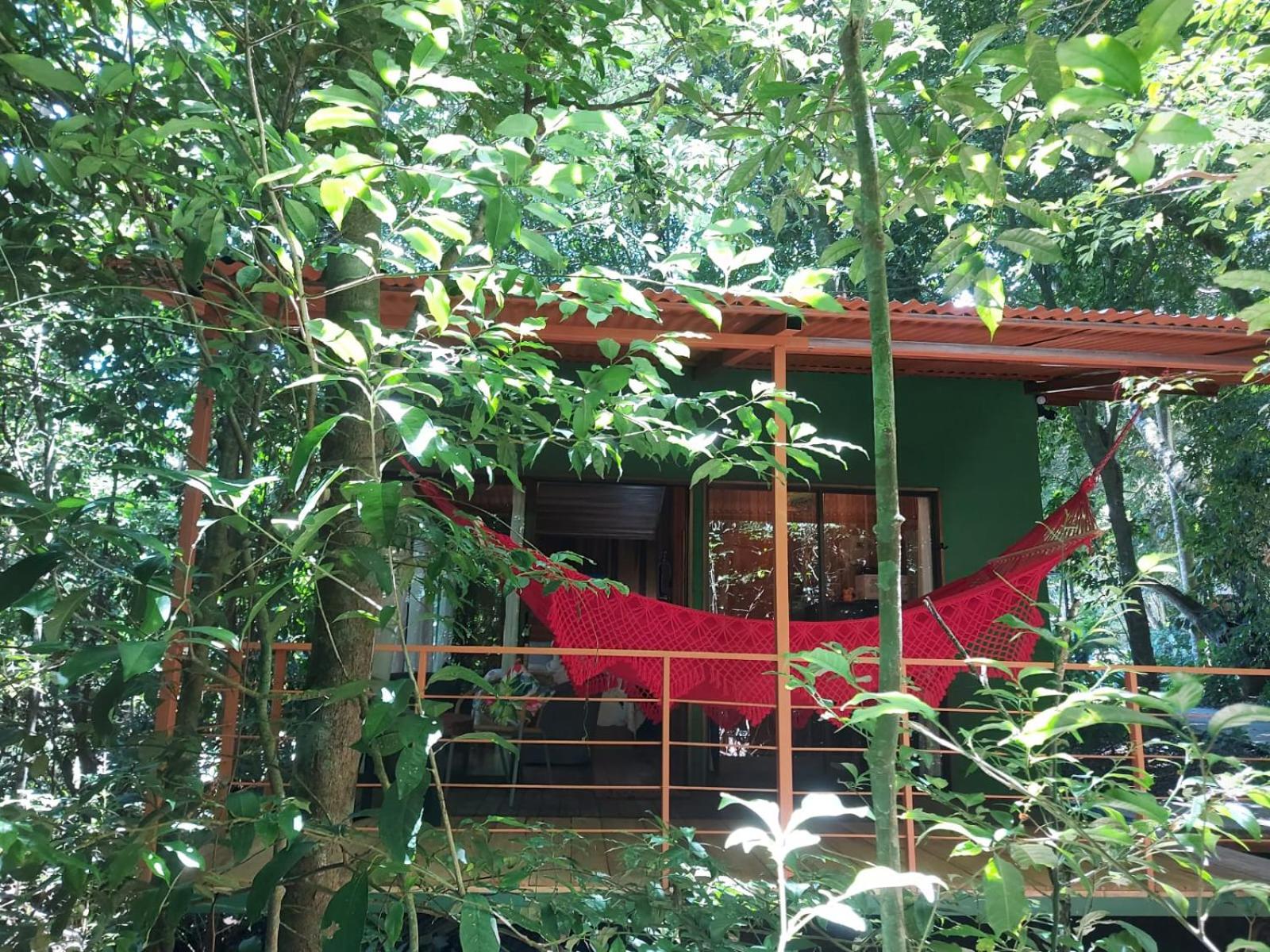 Jungle Living Tree Houses