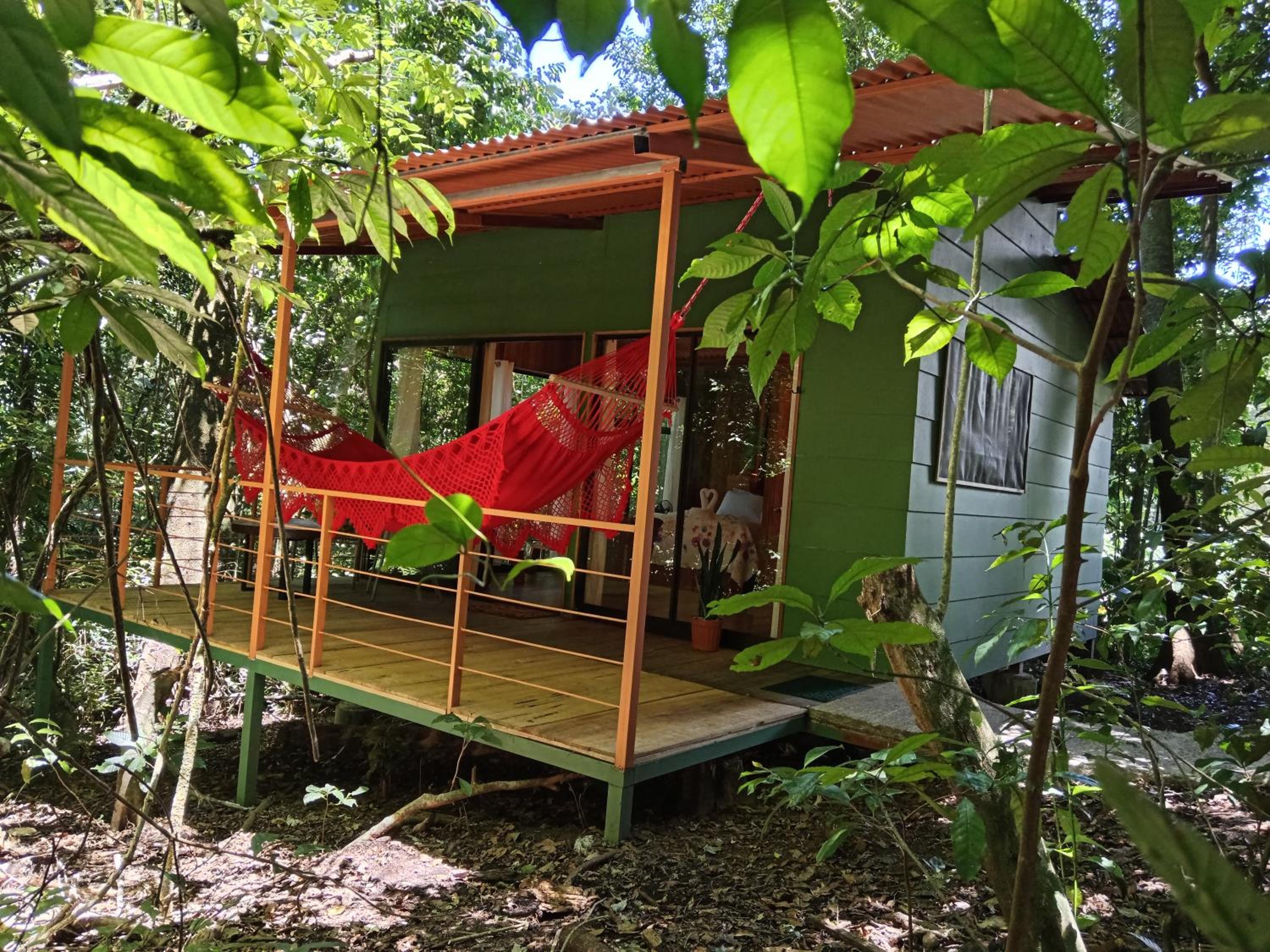 Jungle Living Tree Houses