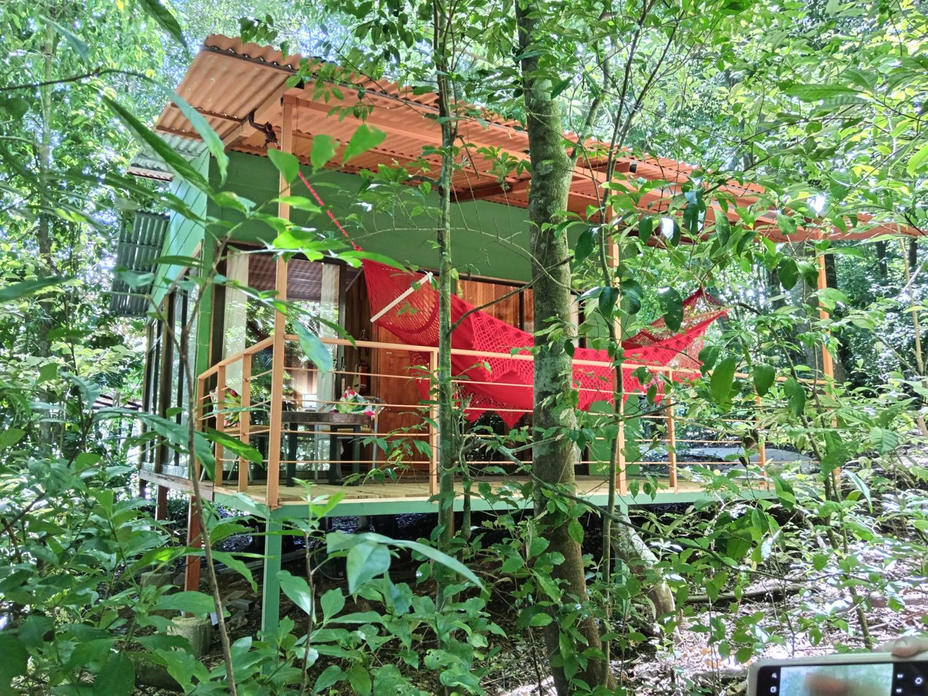 Jungle Living Tree Houses