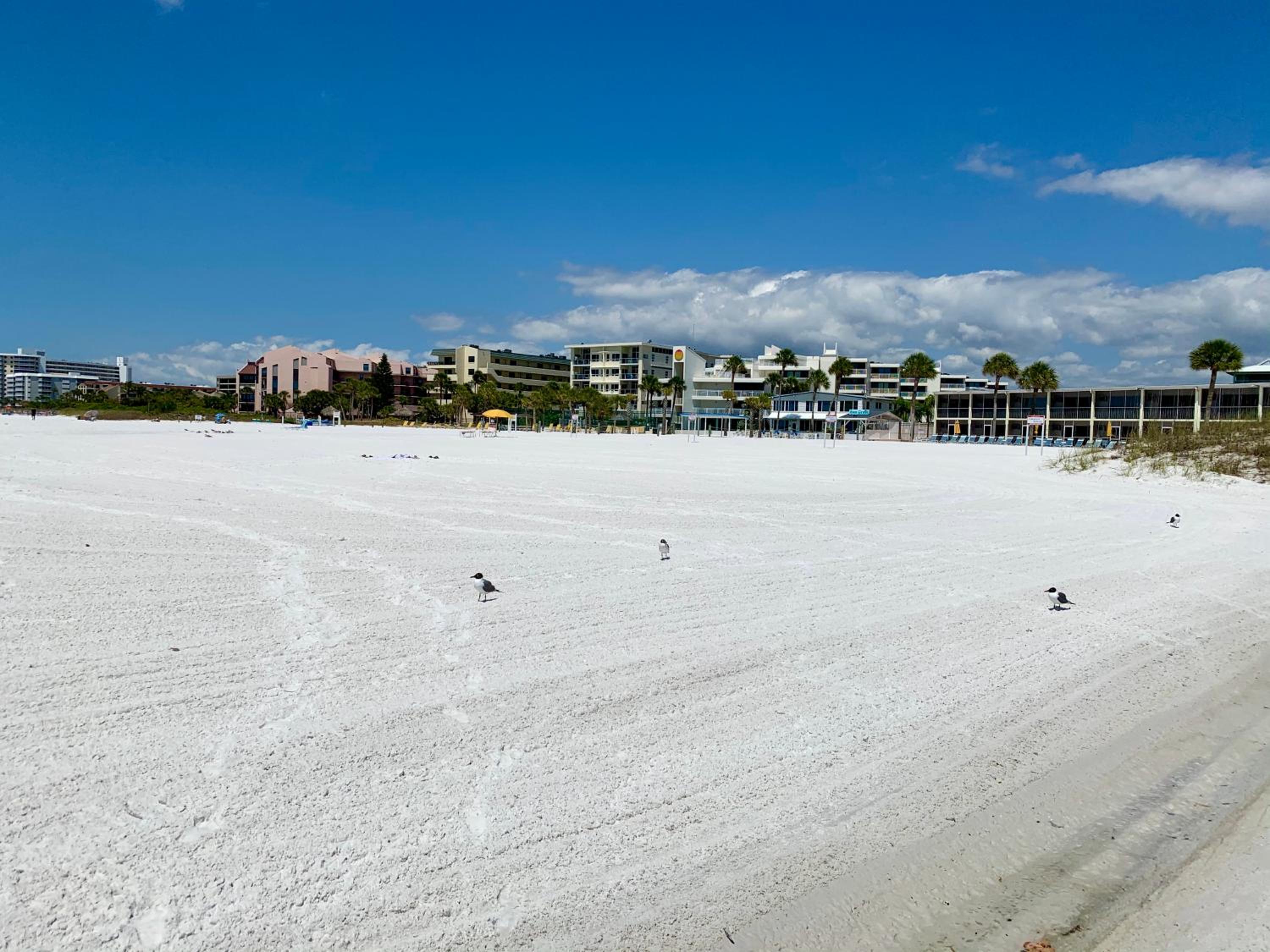 Calini Beach Club by Coolvacay