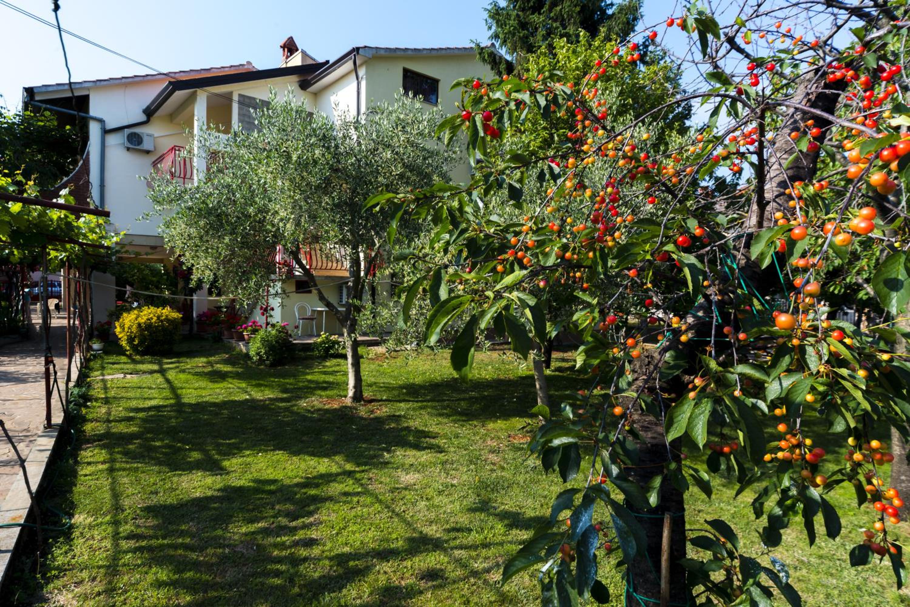 Photo 8
