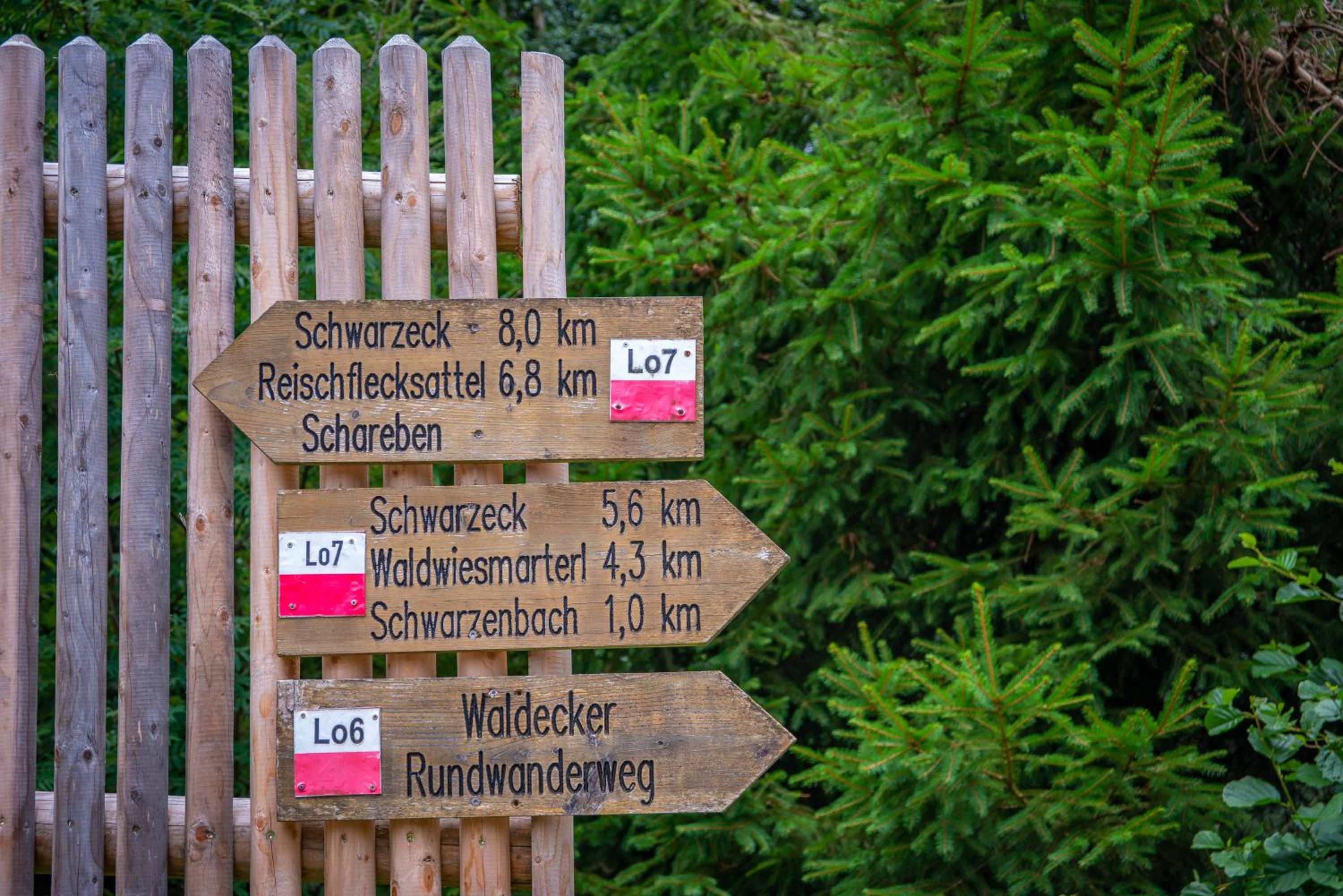 Ski-Bike-Apartment Bayerwald
