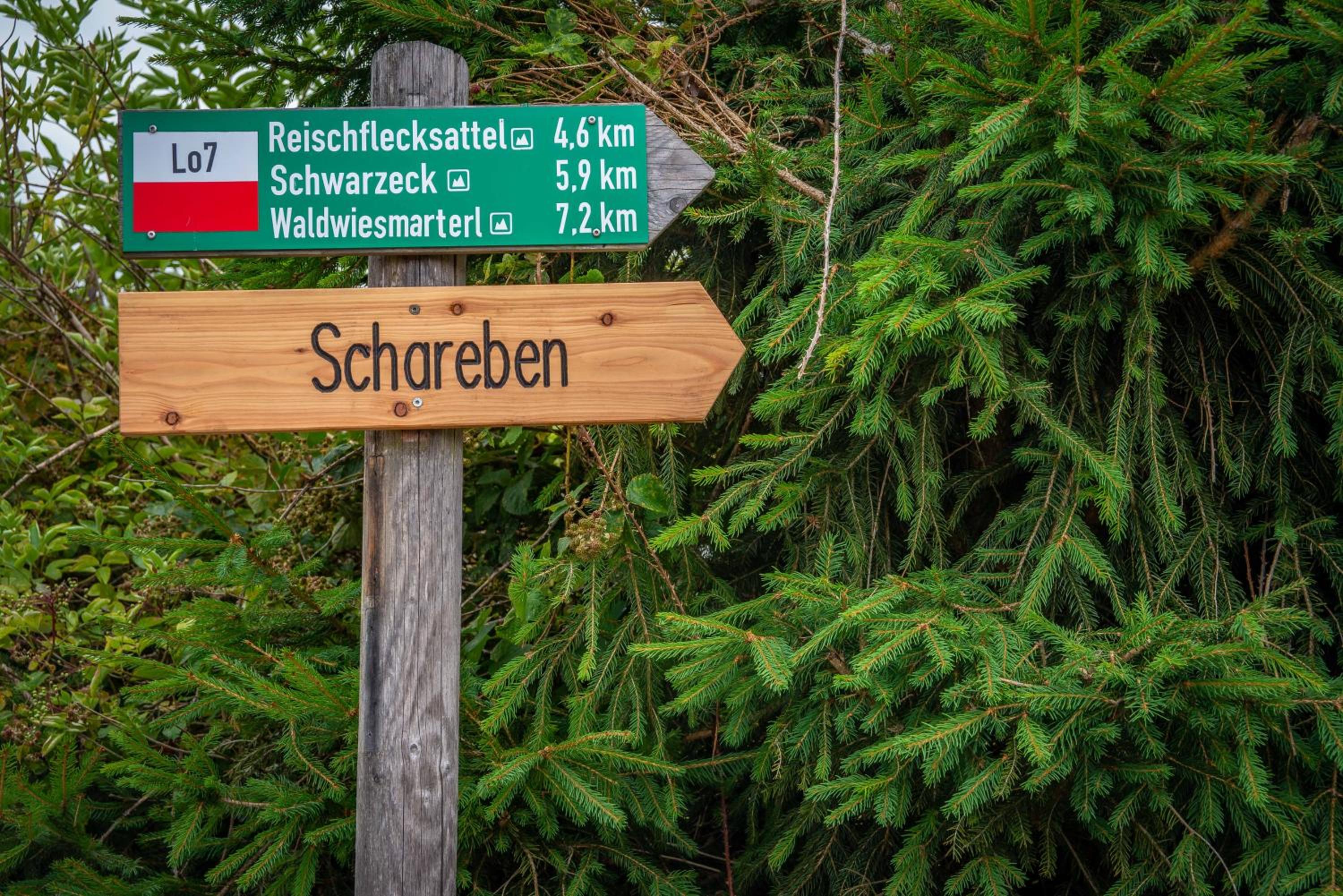 Ski-Bike-Apartment Bayerwald