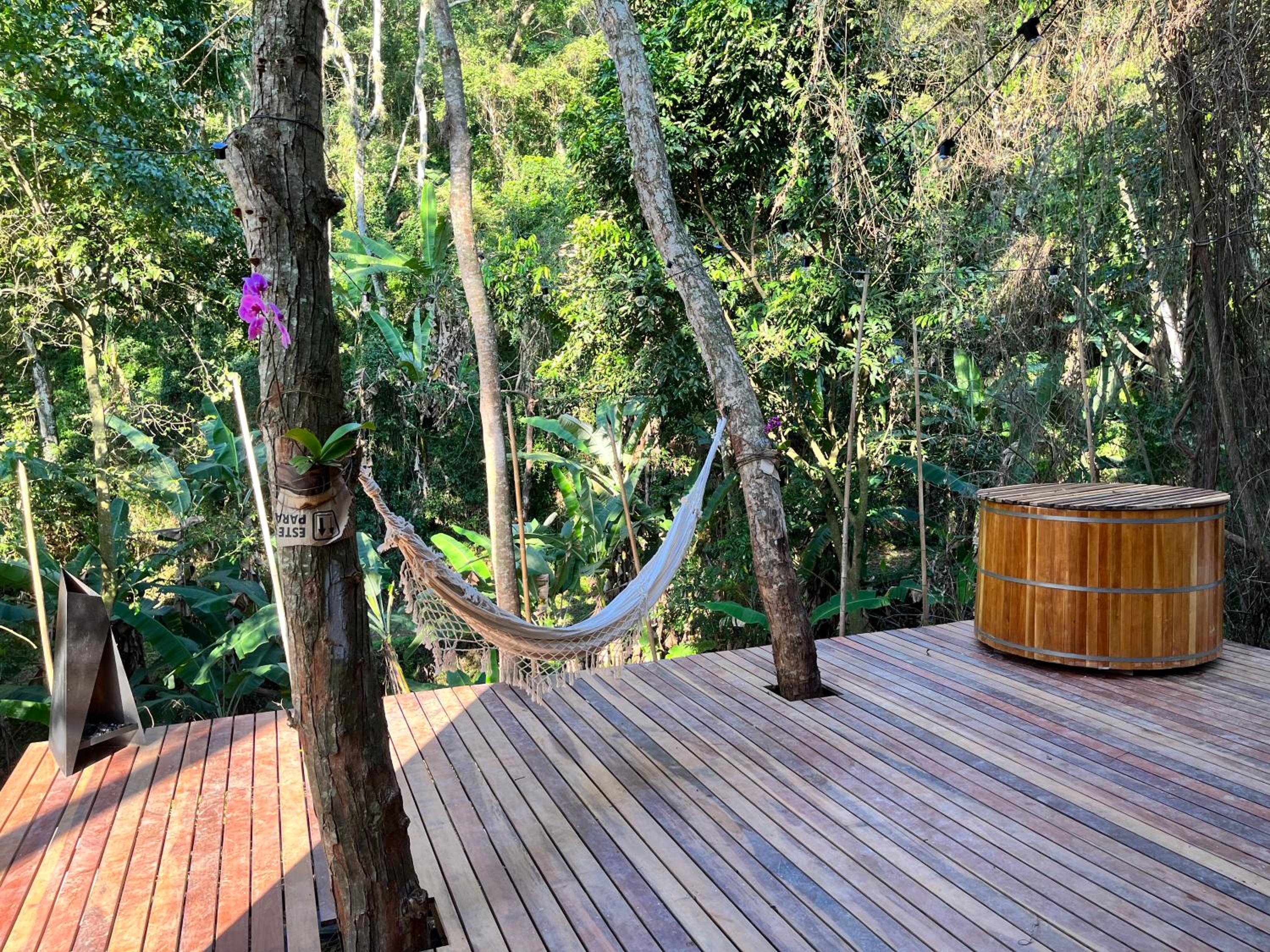 Monkey Lodge - Casa na Mata