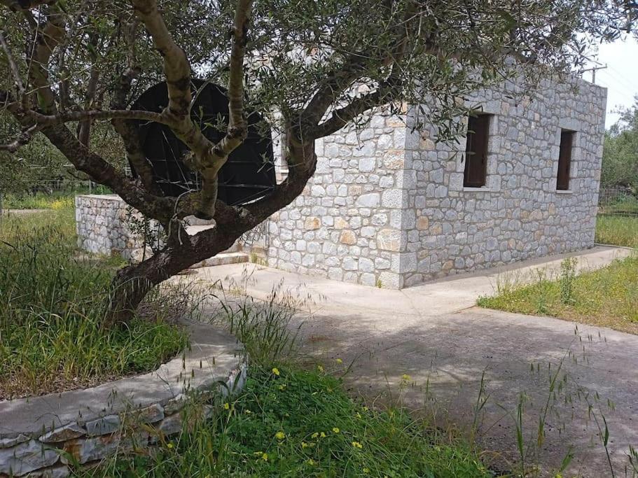 Sotula