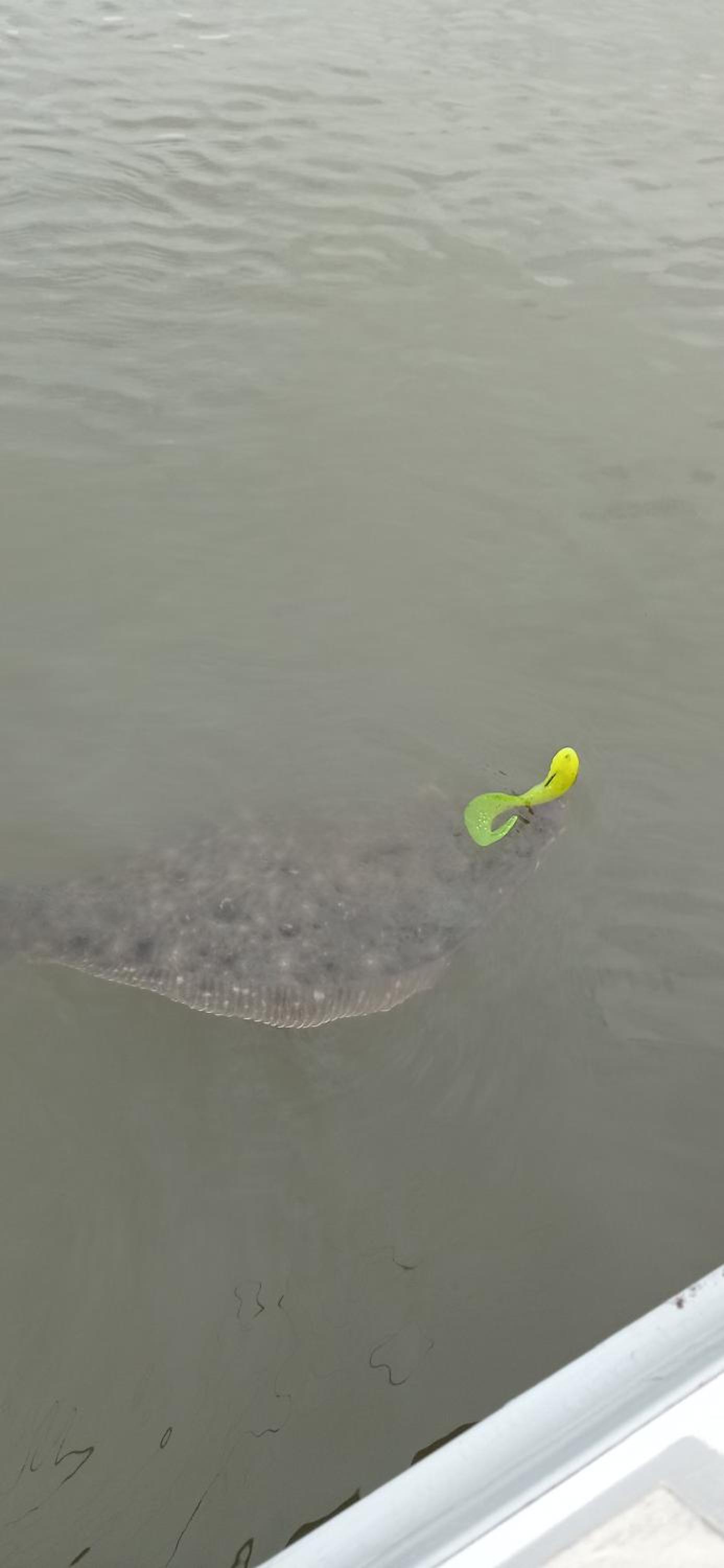 COMPLEJO LA ISLA MAR CHIQUITA