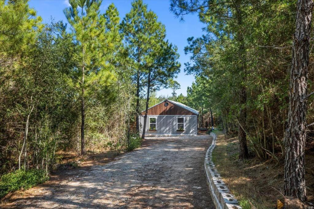 Modern Cabin Nestled in a Pine Forest Near Austin view 2