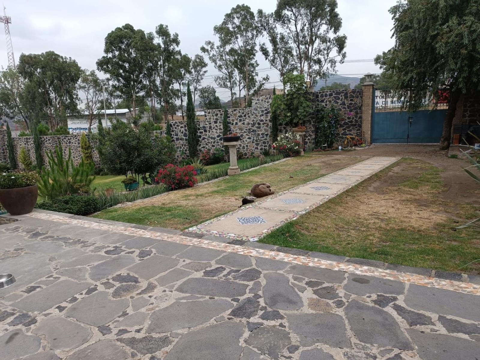 ALOJAMIENTO CAMPESTRE photo 5