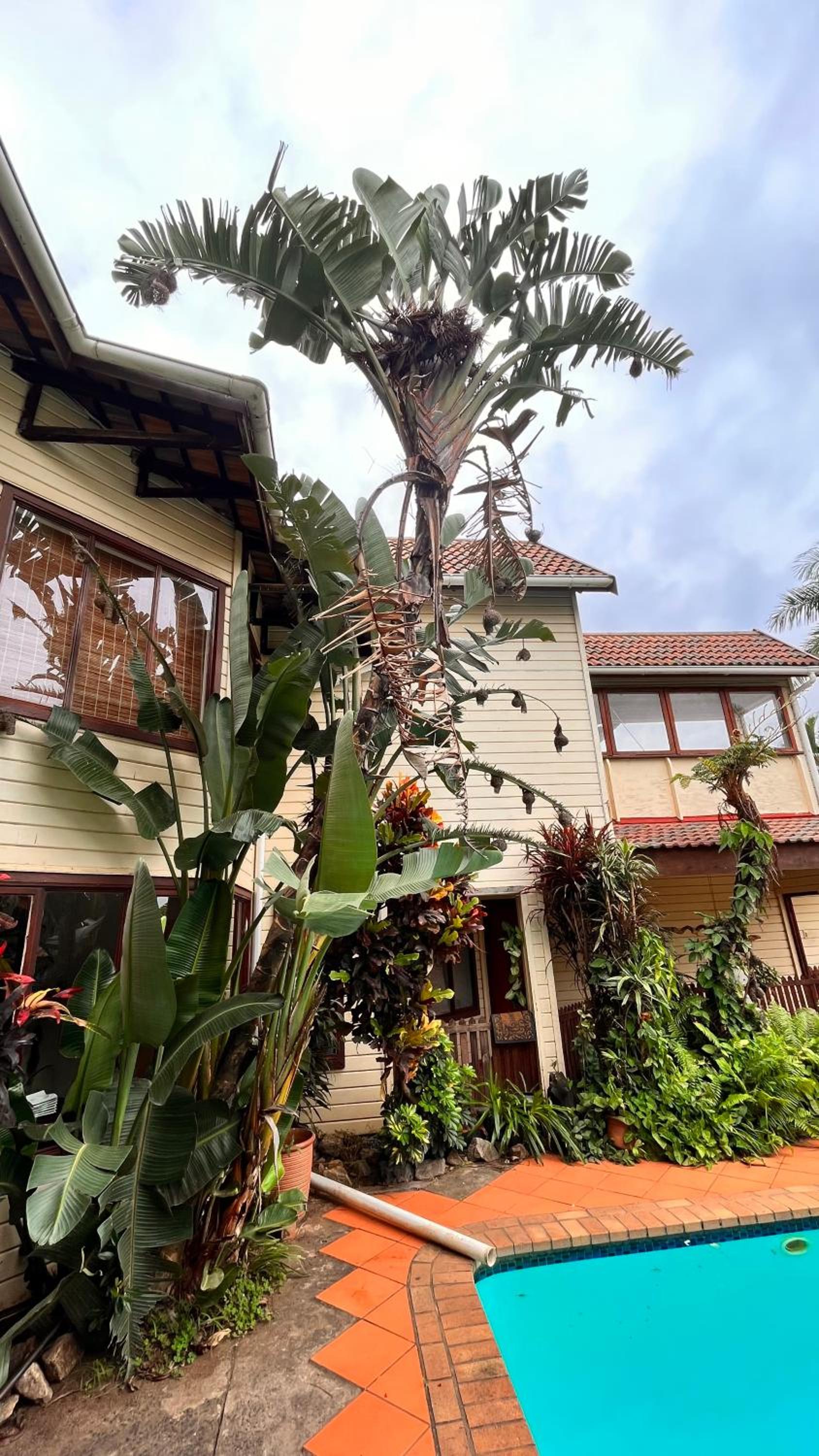 The Wood House, photo 37