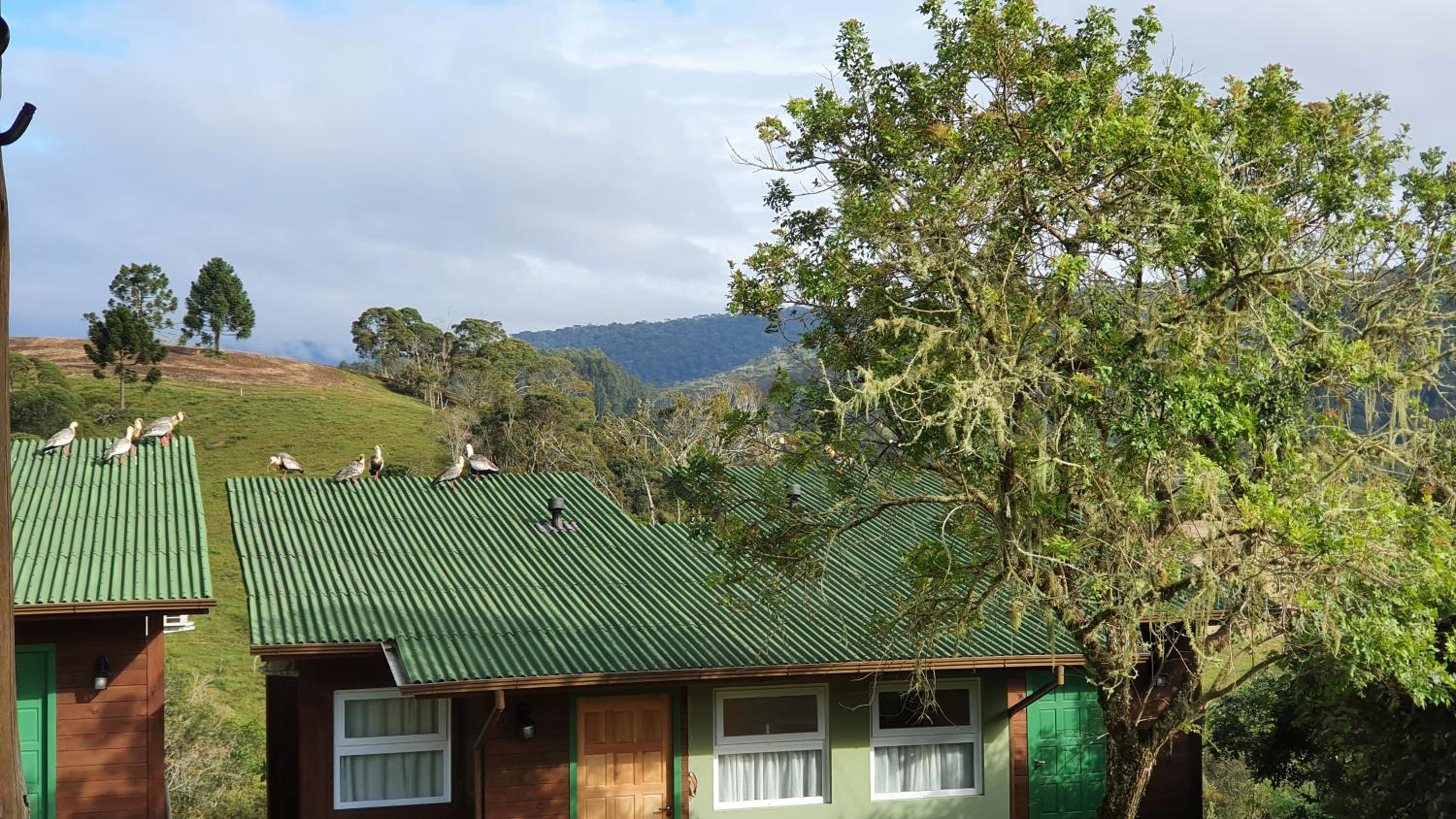 Pousada Bracatinga
