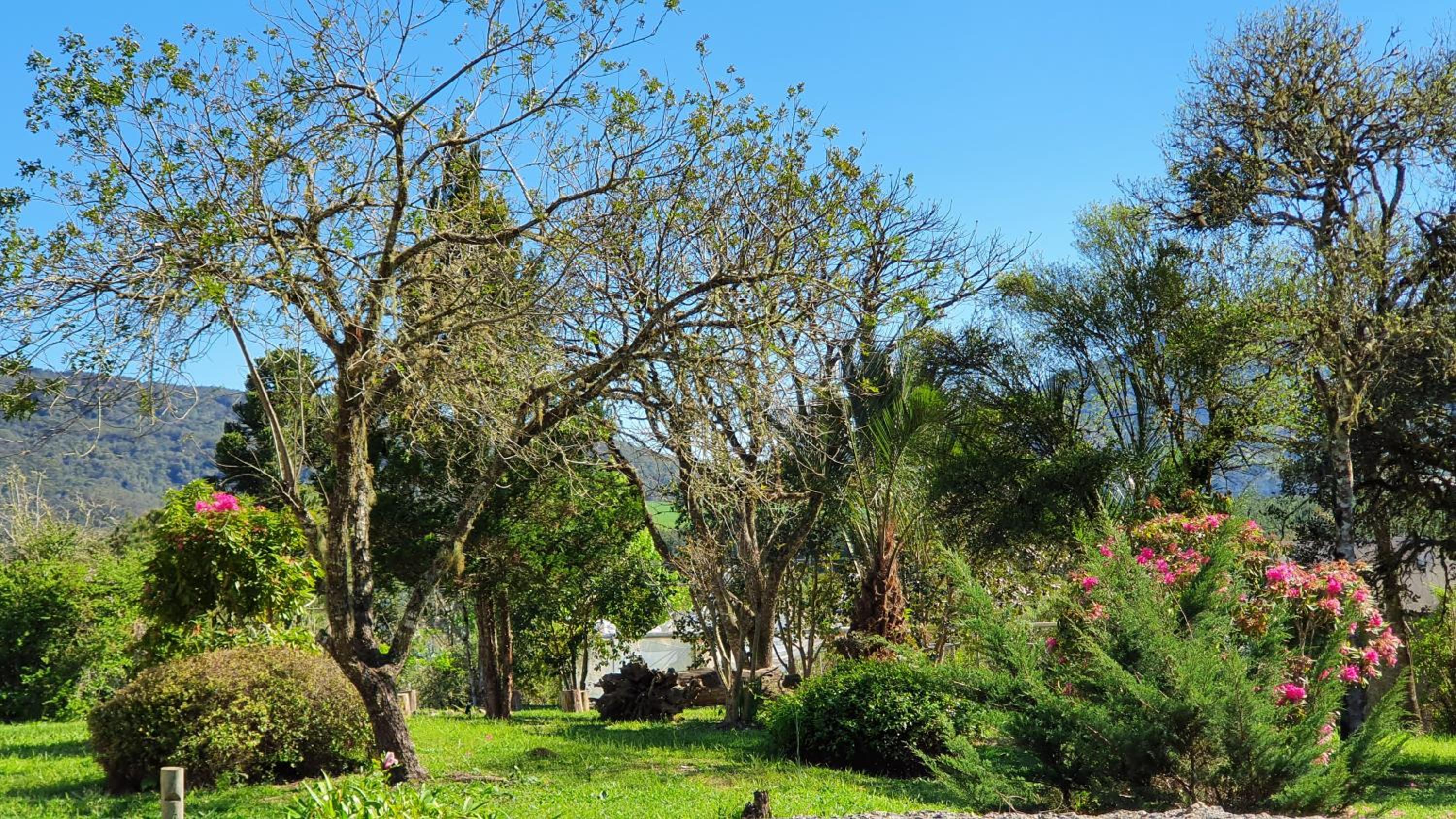 Pousada Bracatinga