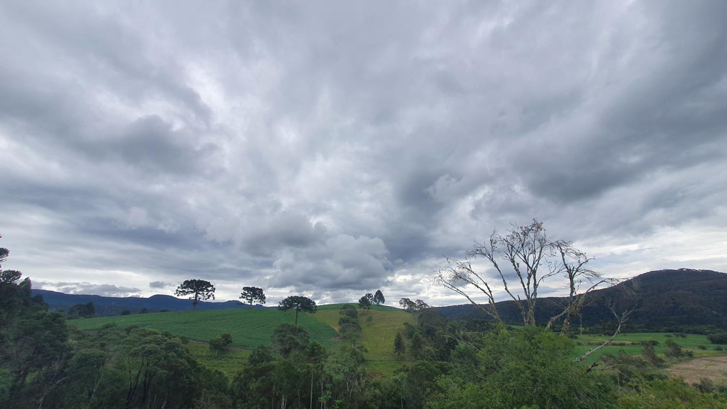 Pousada Bracatinga
