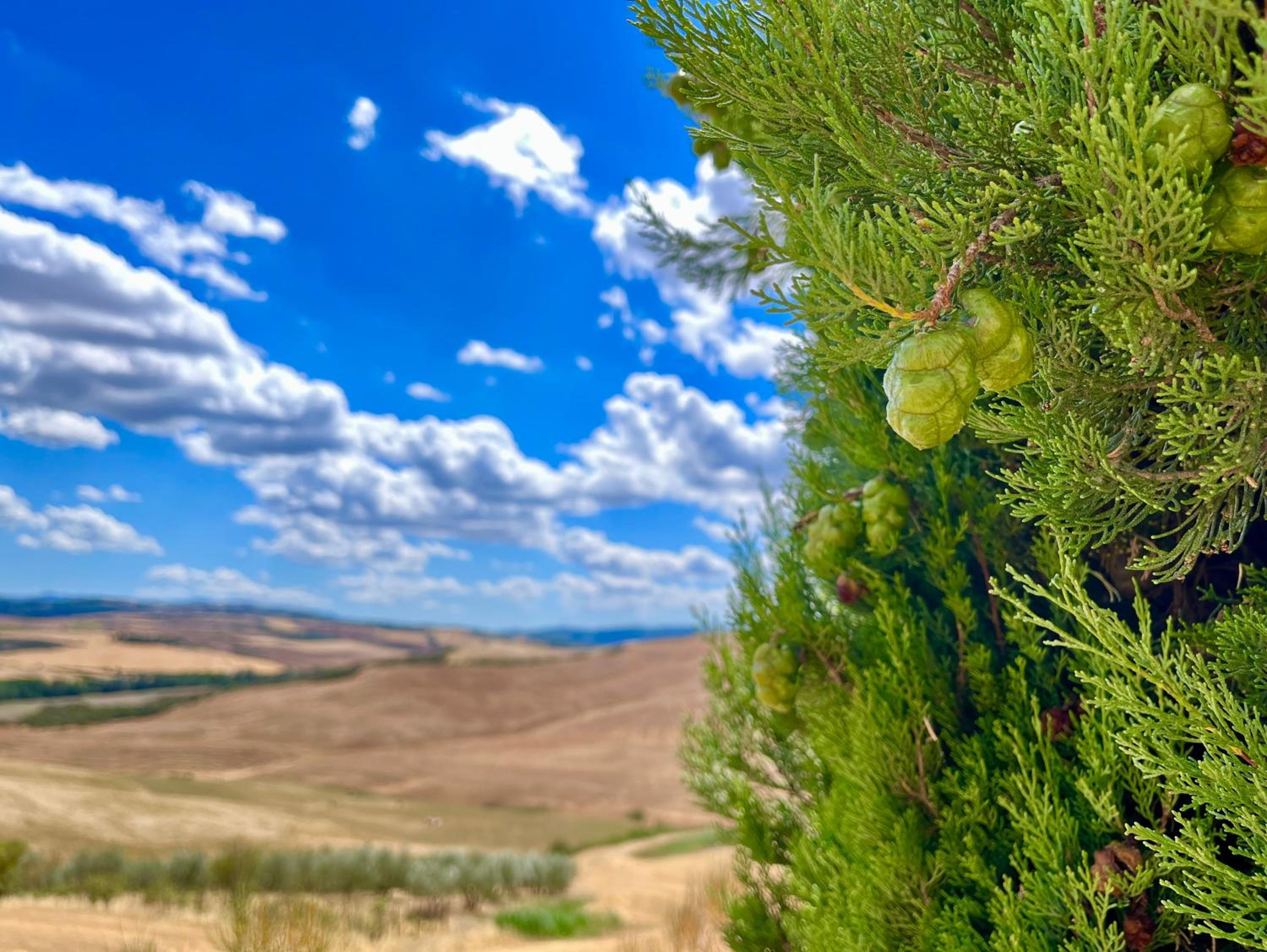 Photo 33