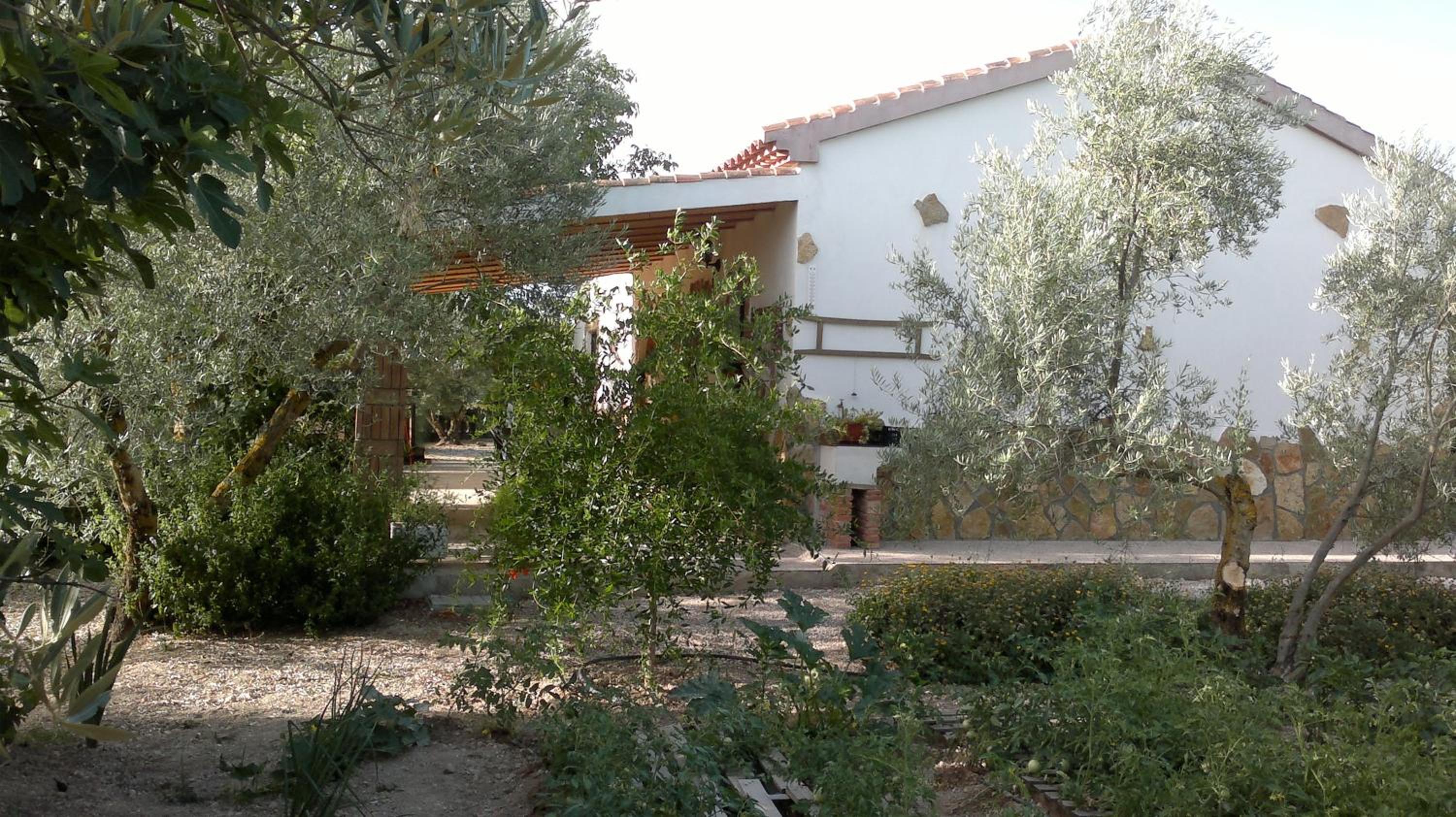 Photo 12