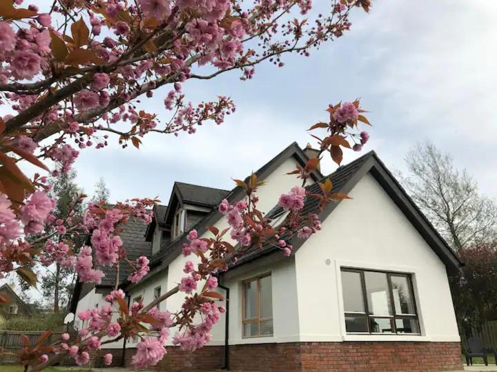 Large Detached Villa
