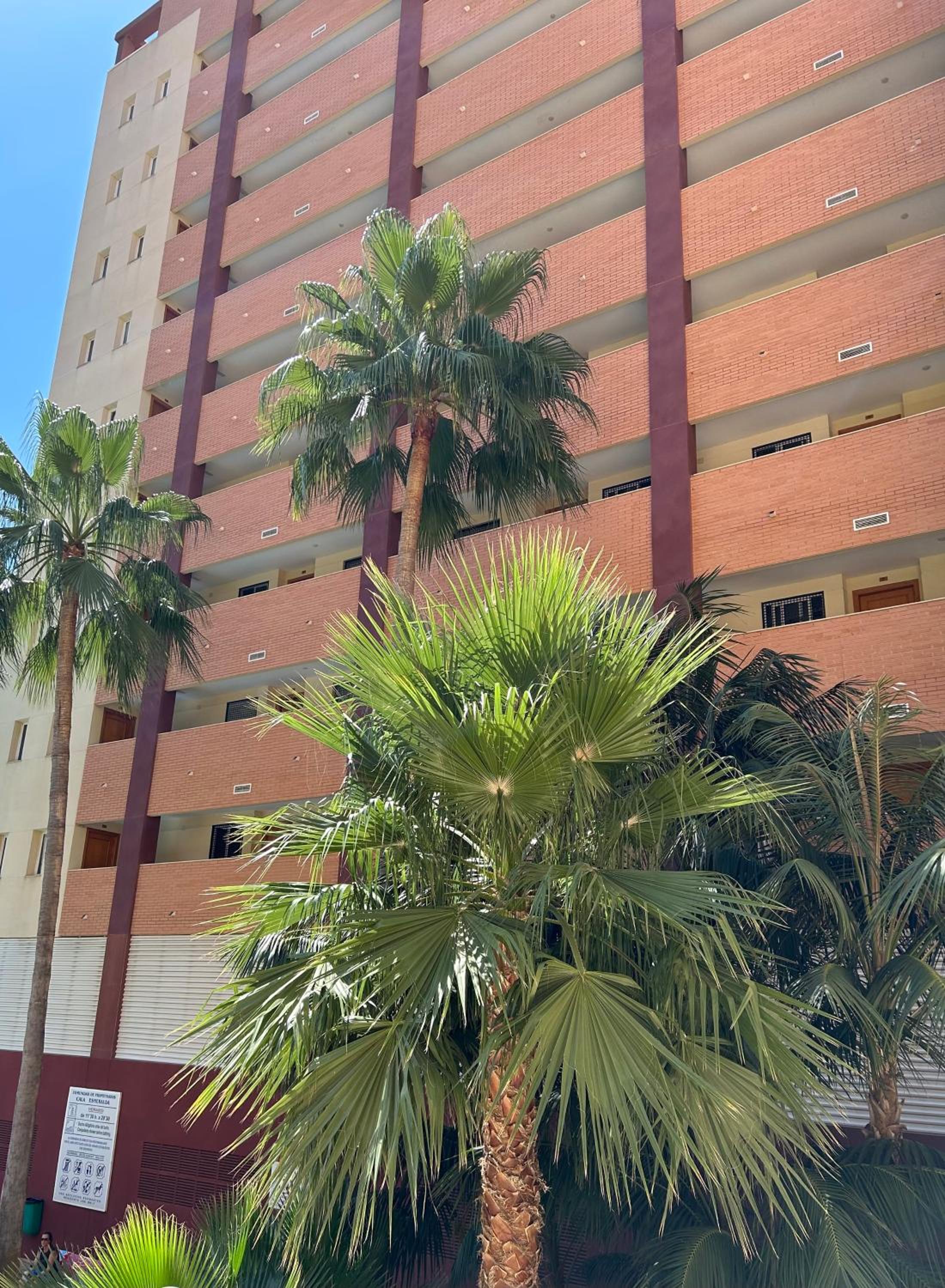Cala Esmeralda Apartament