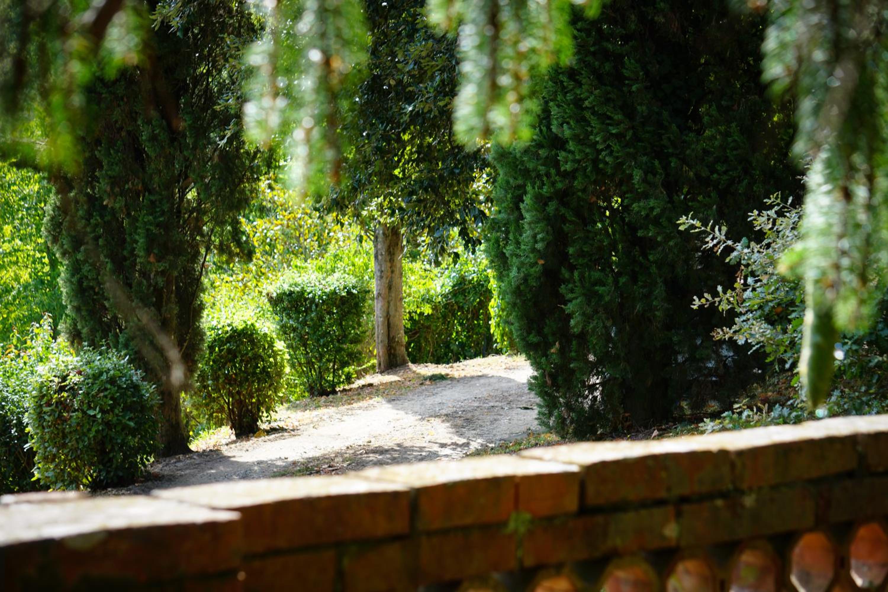Residenza Villa Degli Ochi view 4