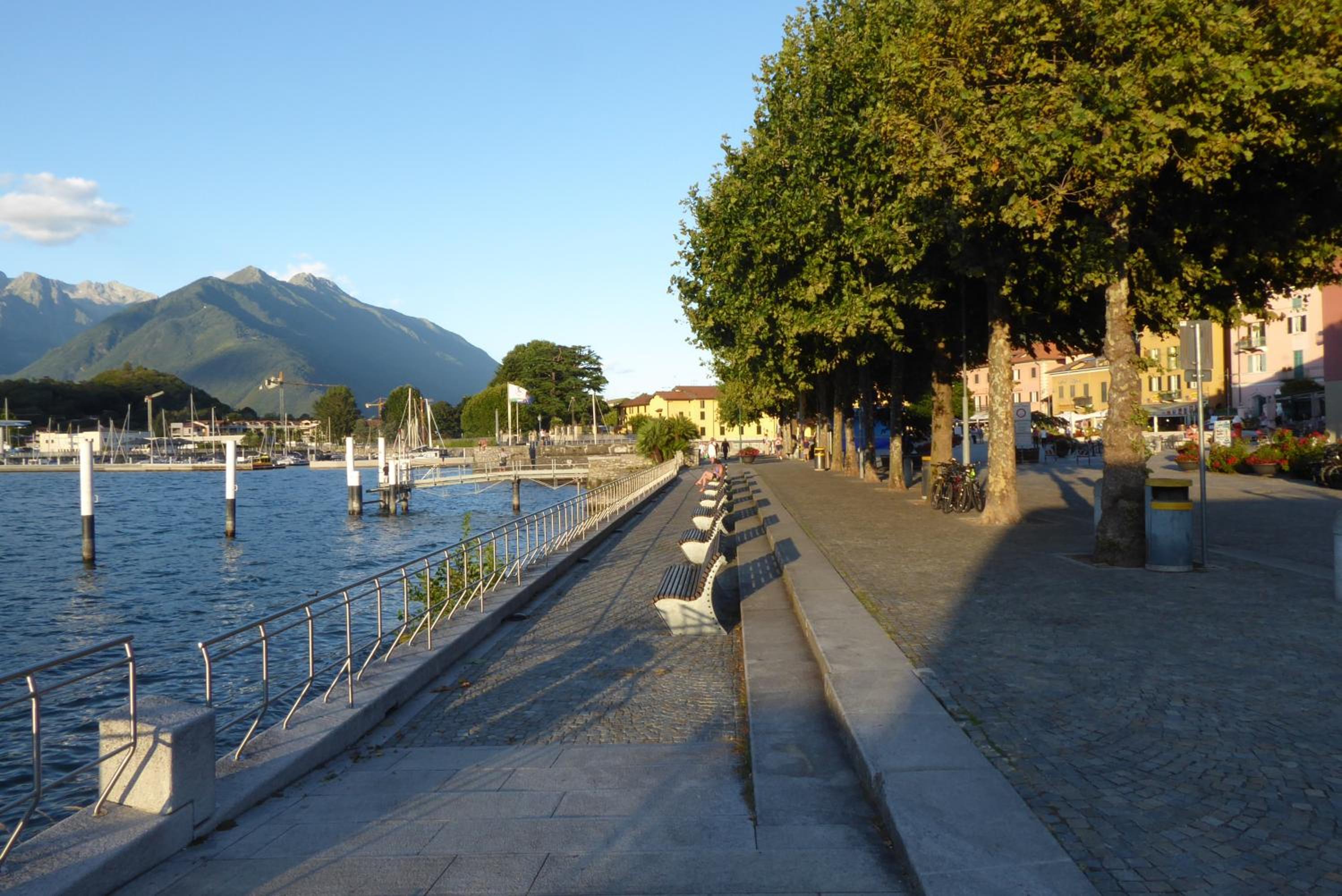 Photo 44