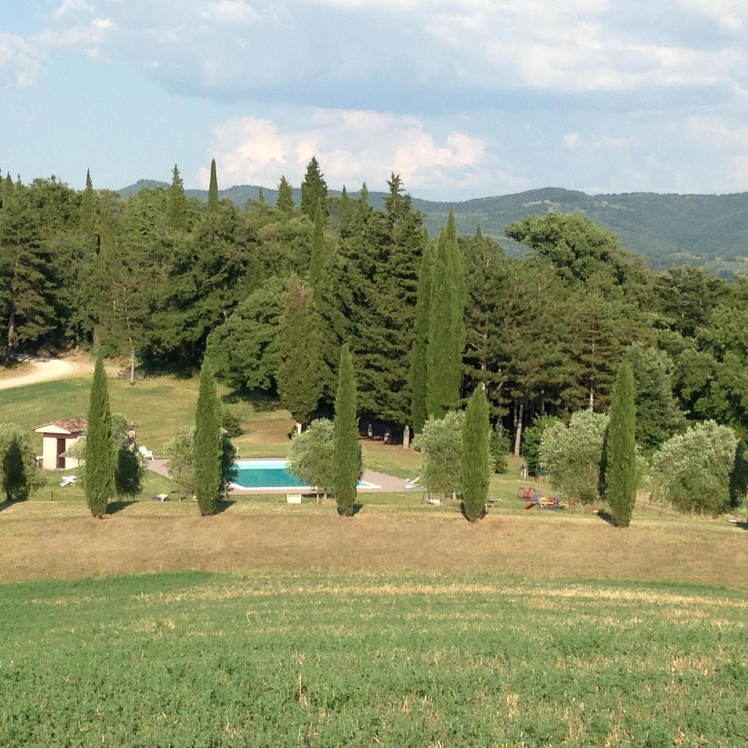 Photo 46