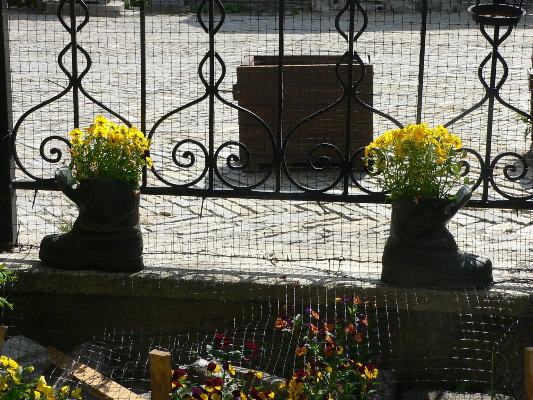 Photo 13