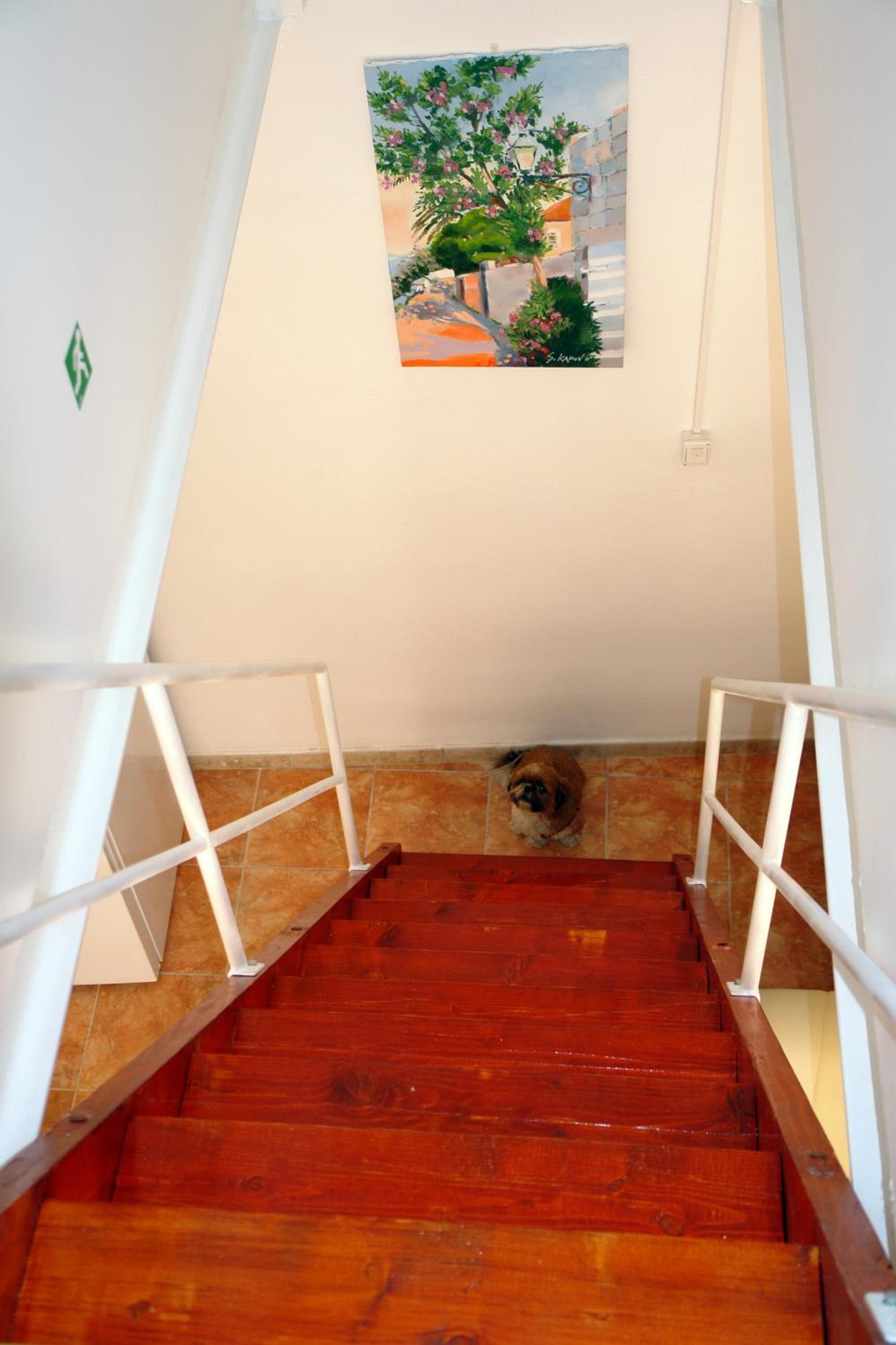Photo 45