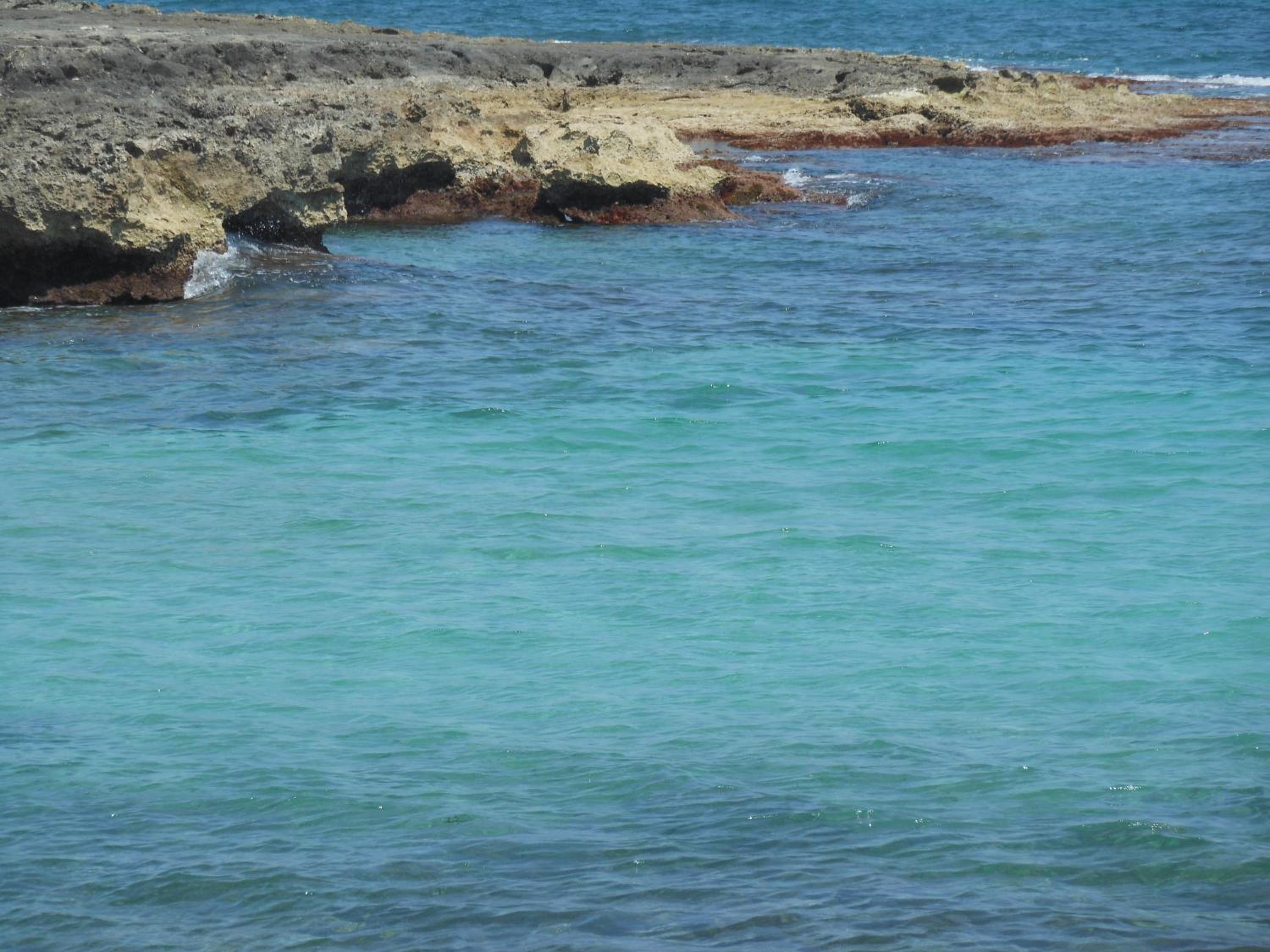 Photo 47